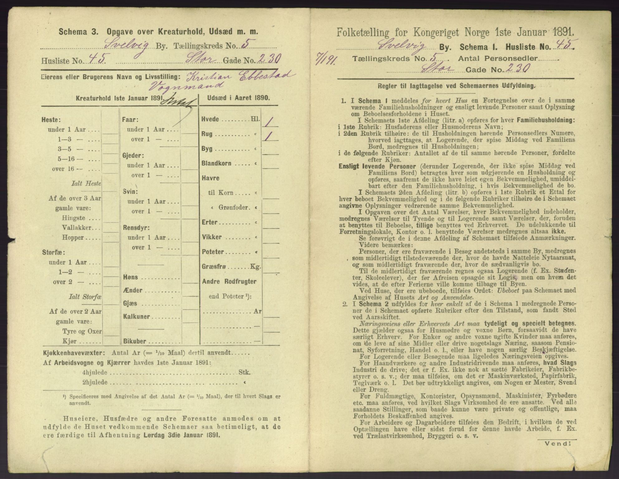 RA, 1891 census for 0701 Svelvik, 1891, p. 548