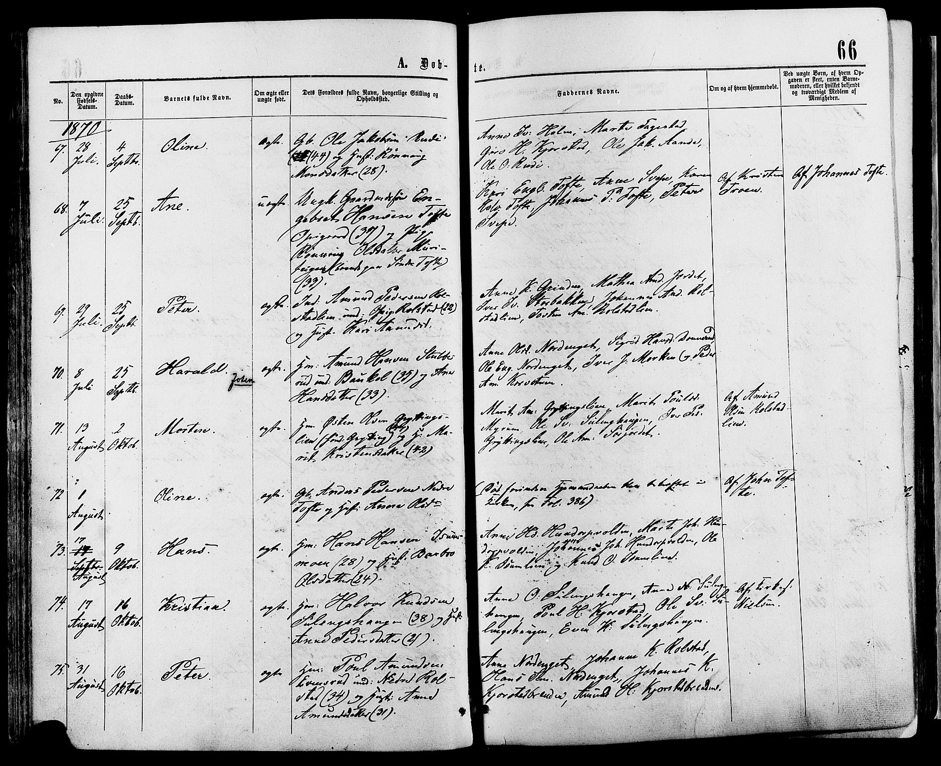 Sør-Fron prestekontor, AV/SAH-PREST-010/H/Ha/Haa/L0002: Parish register (official) no. 2, 1864-1880, p. 66