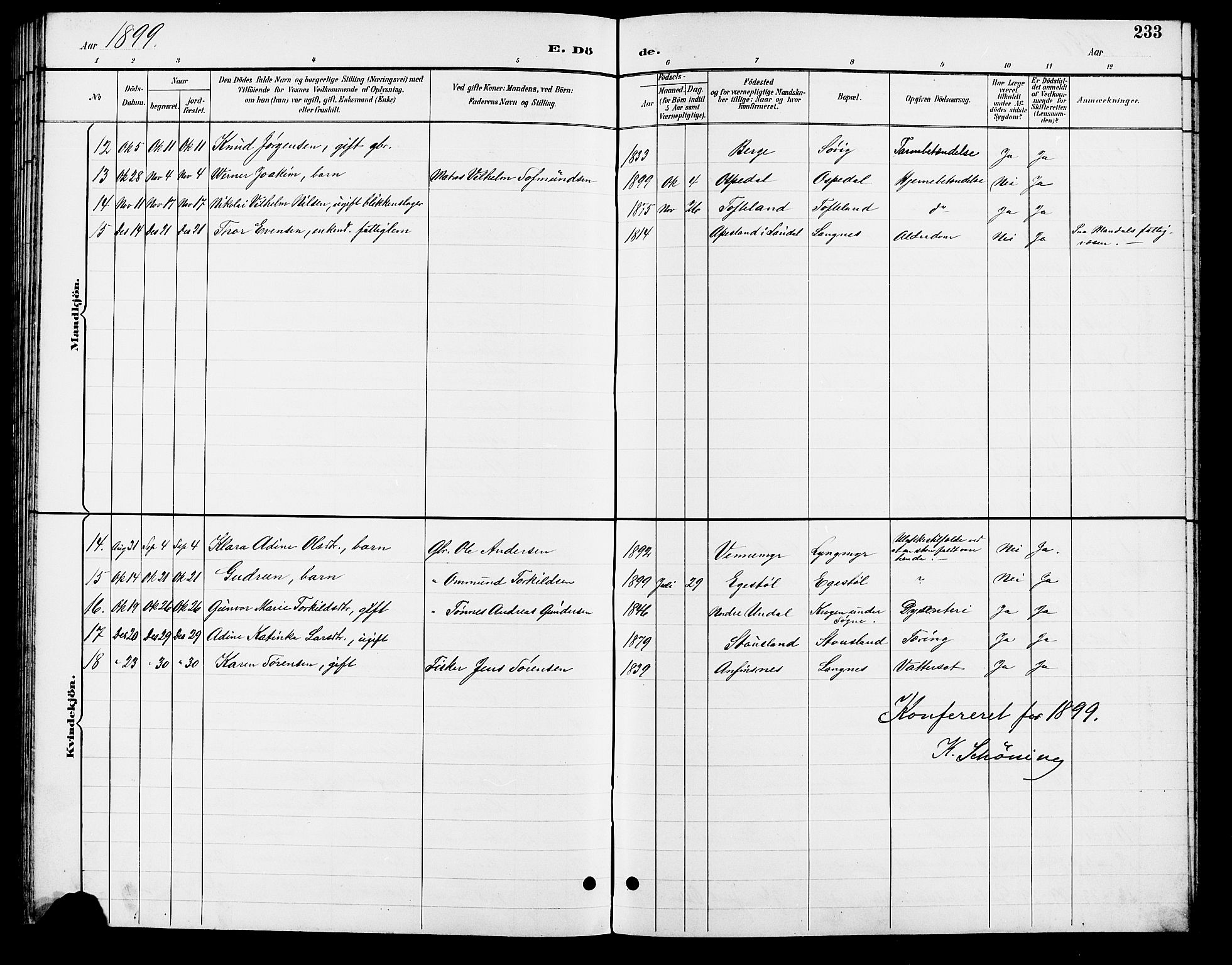 Søgne sokneprestkontor, AV/SAK-1111-0037/F/Fb/Fbb/L0006: Parish register (copy) no. B 6, 1892-1911, p. 233