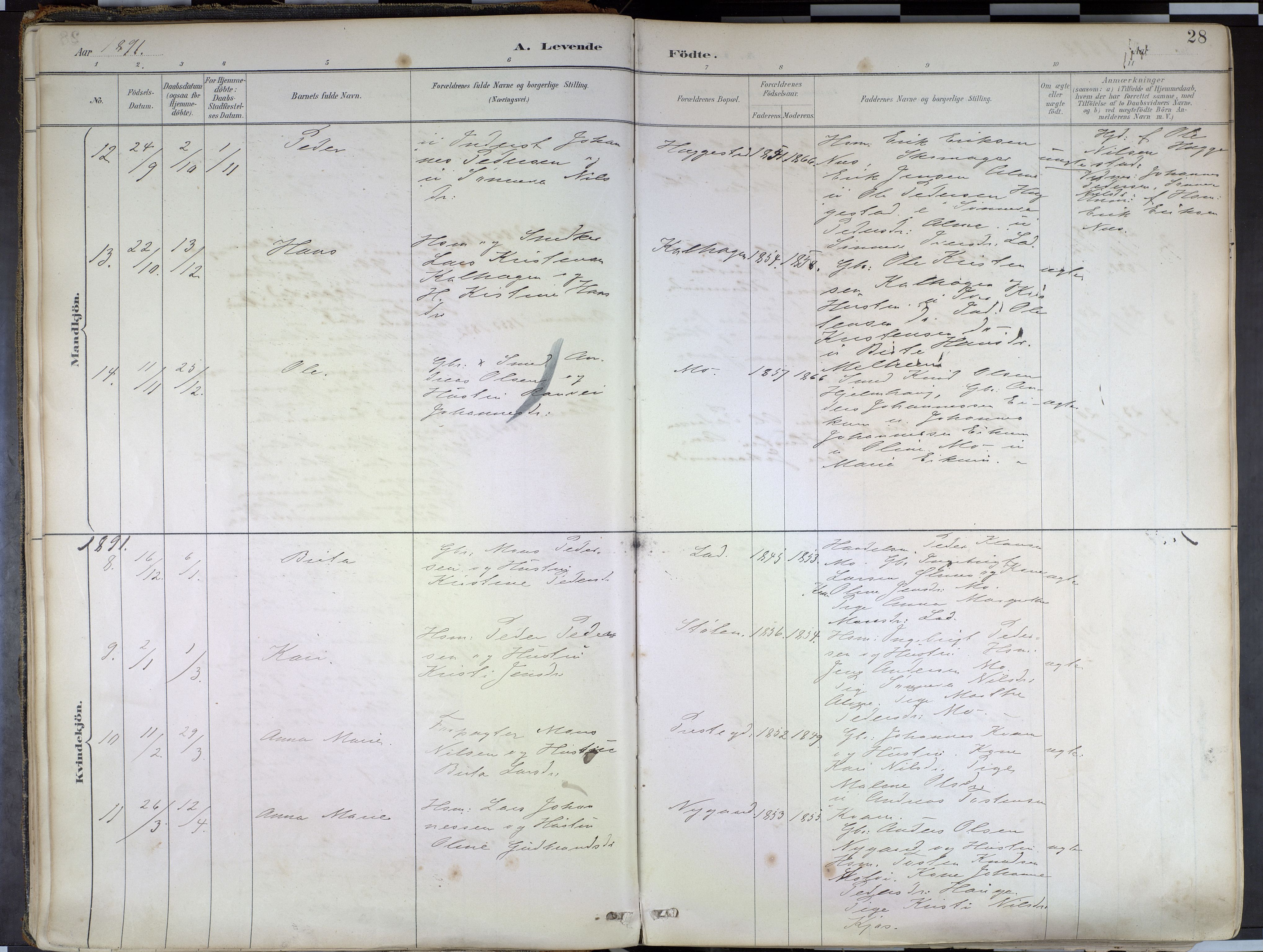 Hafslo sokneprestembete, SAB/A-80301/H/Haa/Haab/L0001: Parish register (official) no. B 1, 1886-1945, p. 28