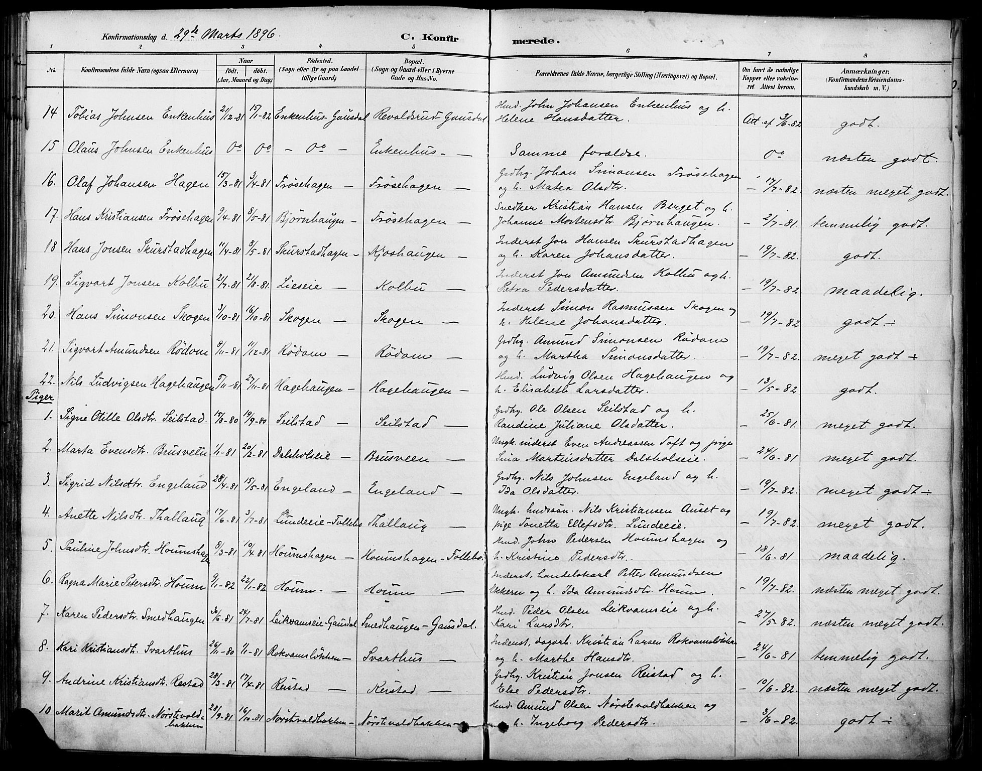 Østre Gausdal prestekontor, SAH/PREST-092/H/Ha/Haa/L0002: Parish register (official) no. 2, 1887-1897, p. 96j