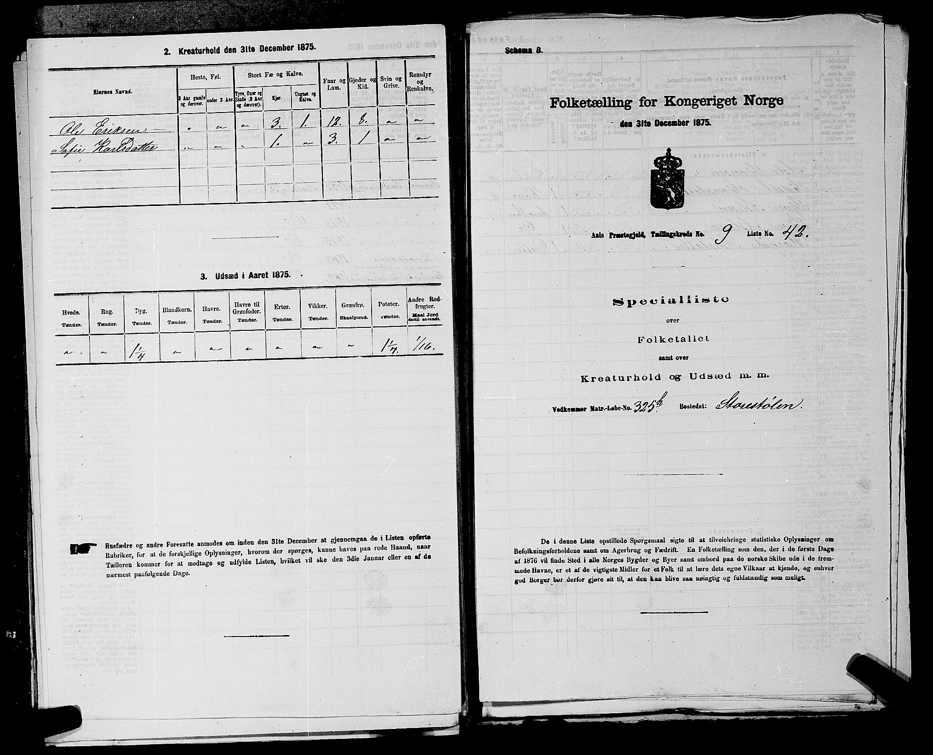 SAKO, 1875 census for 0619P Ål, 1875, p. 1181