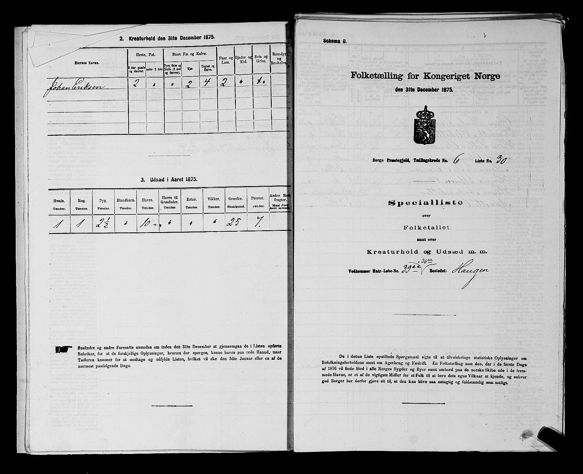 RA, 1875 census for 0113P Borge, 1875, p. 833