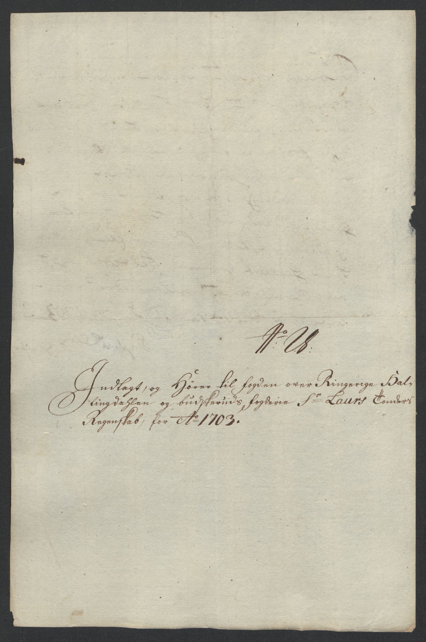 Rentekammeret inntil 1814, Reviderte regnskaper, Fogderegnskap, AV/RA-EA-4092/R22/L1461: Fogderegnskap Ringerike, Hallingdal og Buskerud, 1703, p. 293