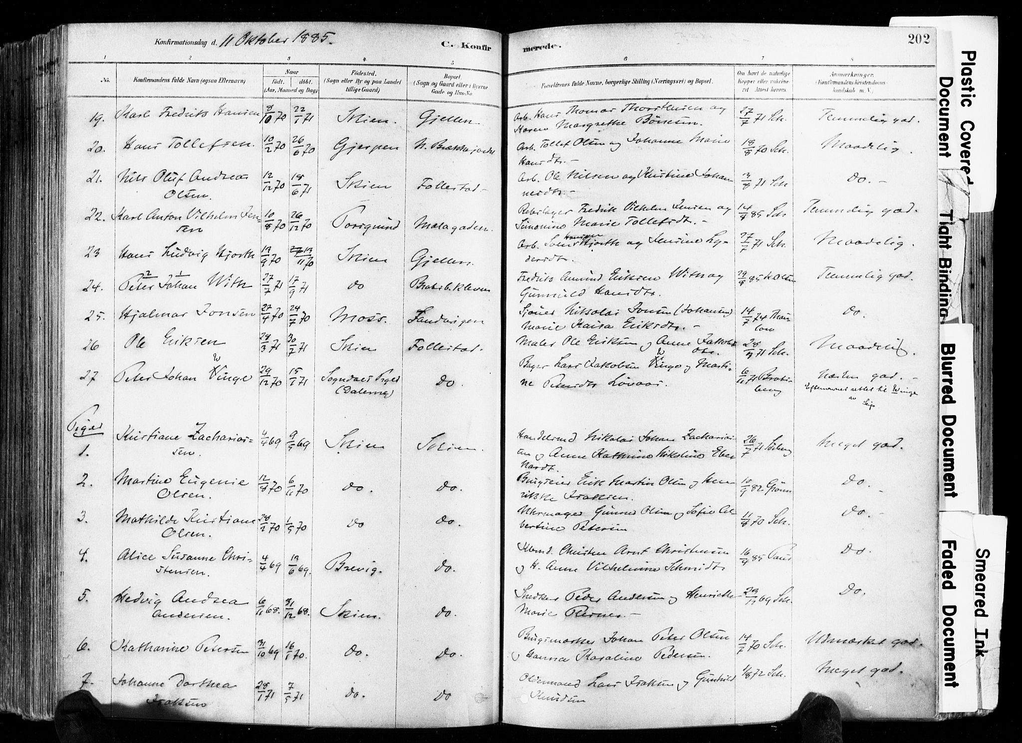 Skien kirkebøker, AV/SAKO-A-302/F/Fa/L0009: Parish register (official) no. 9, 1878-1890, p. 202