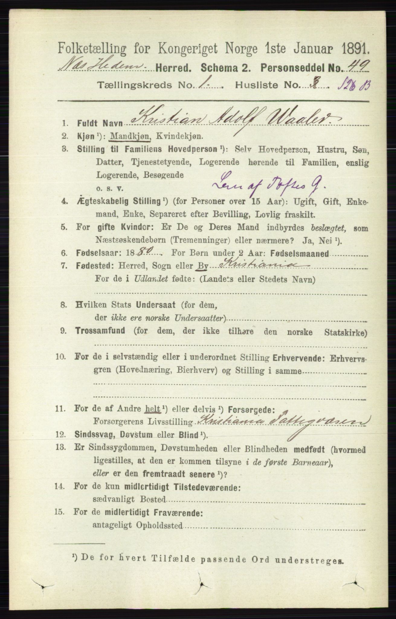 RA, 1891 census for 0411 Nes, 1891, p. 956