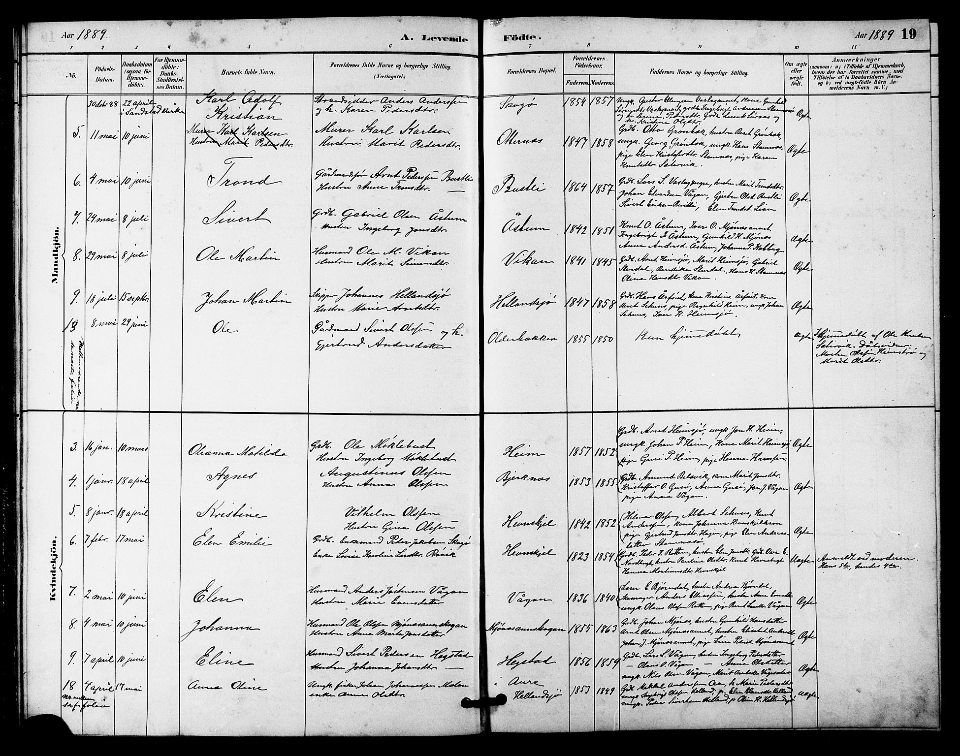 Ministerialprotokoller, klokkerbøker og fødselsregistre - Sør-Trøndelag, SAT/A-1456/633/L0519: Parish register (copy) no. 633C01, 1884-1905, p. 19