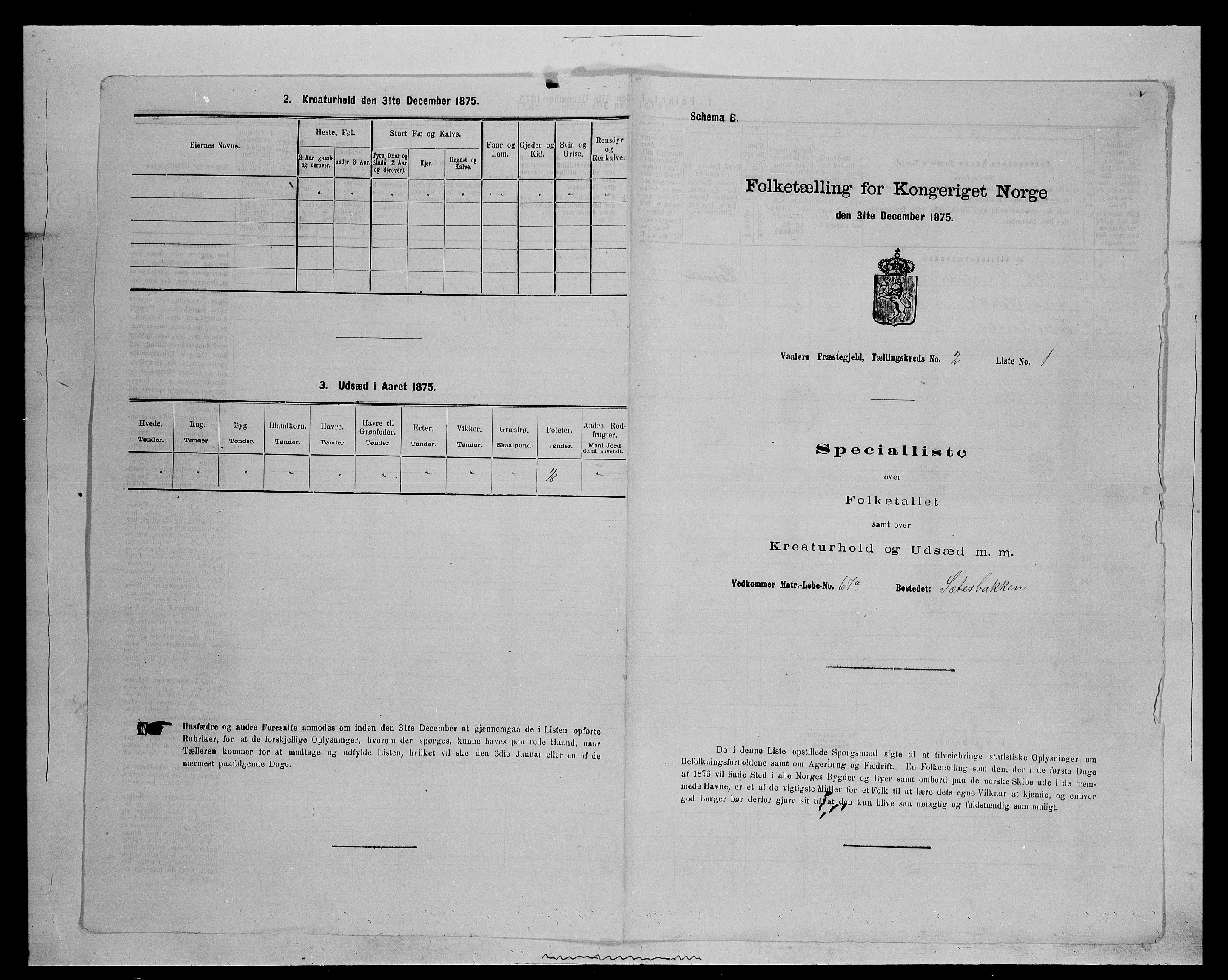 SAH, 1875 census for 0426P Våler parish (Hedmark), 1875, p. 245