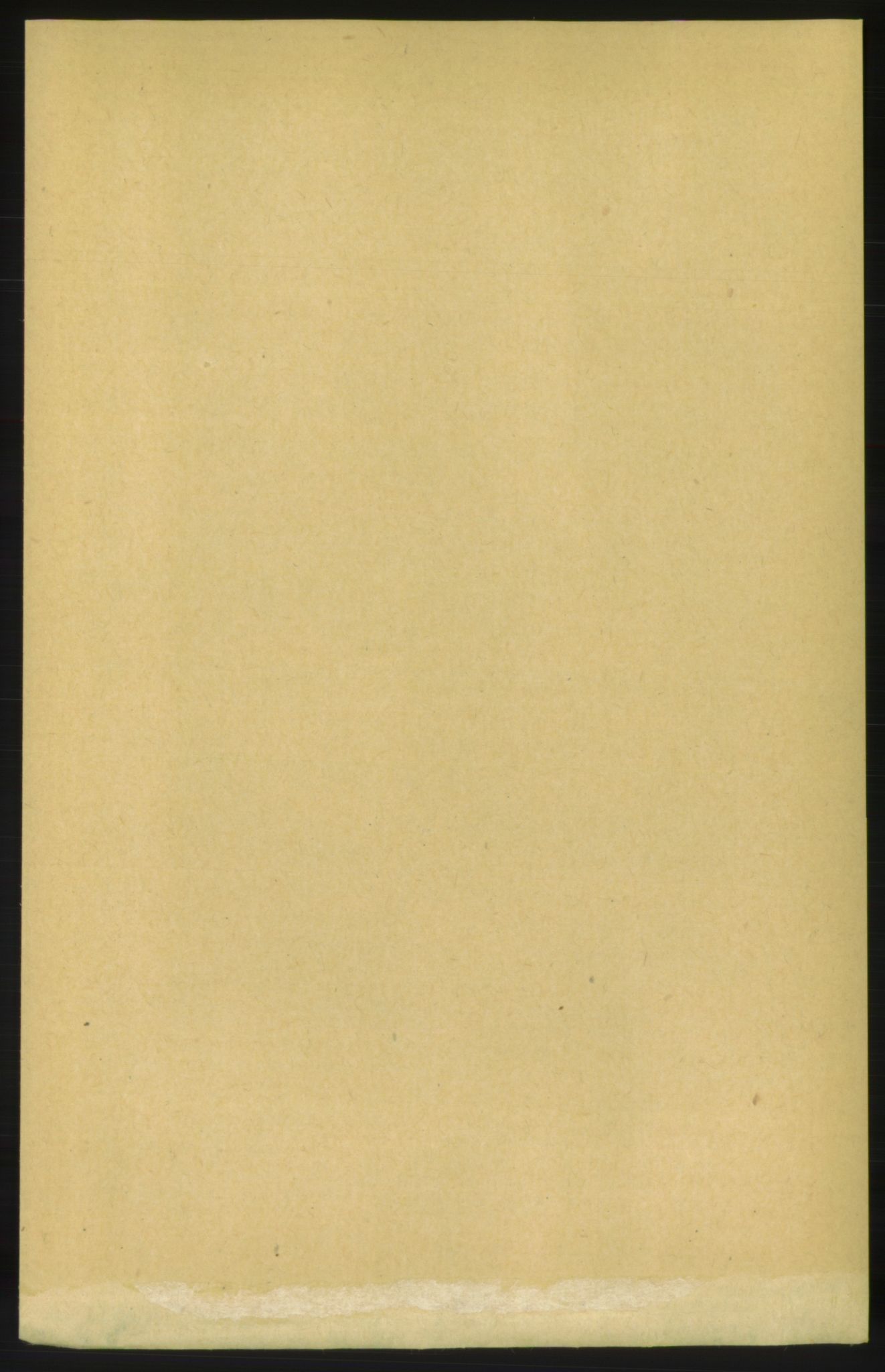 RA, 1891 census for 1566 Surnadal, 1891, p. 1484