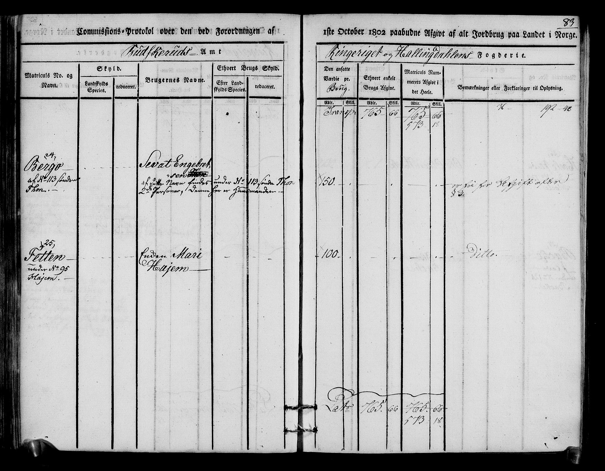 Rentekammeret inntil 1814, Realistisk ordnet avdeling, AV/RA-EA-4070/N/Ne/Nea/L0048: Ringerike og Hallingdal fogderi. Kommisjonsprotokoll for Ål prestegjeld, 1803, p. 87