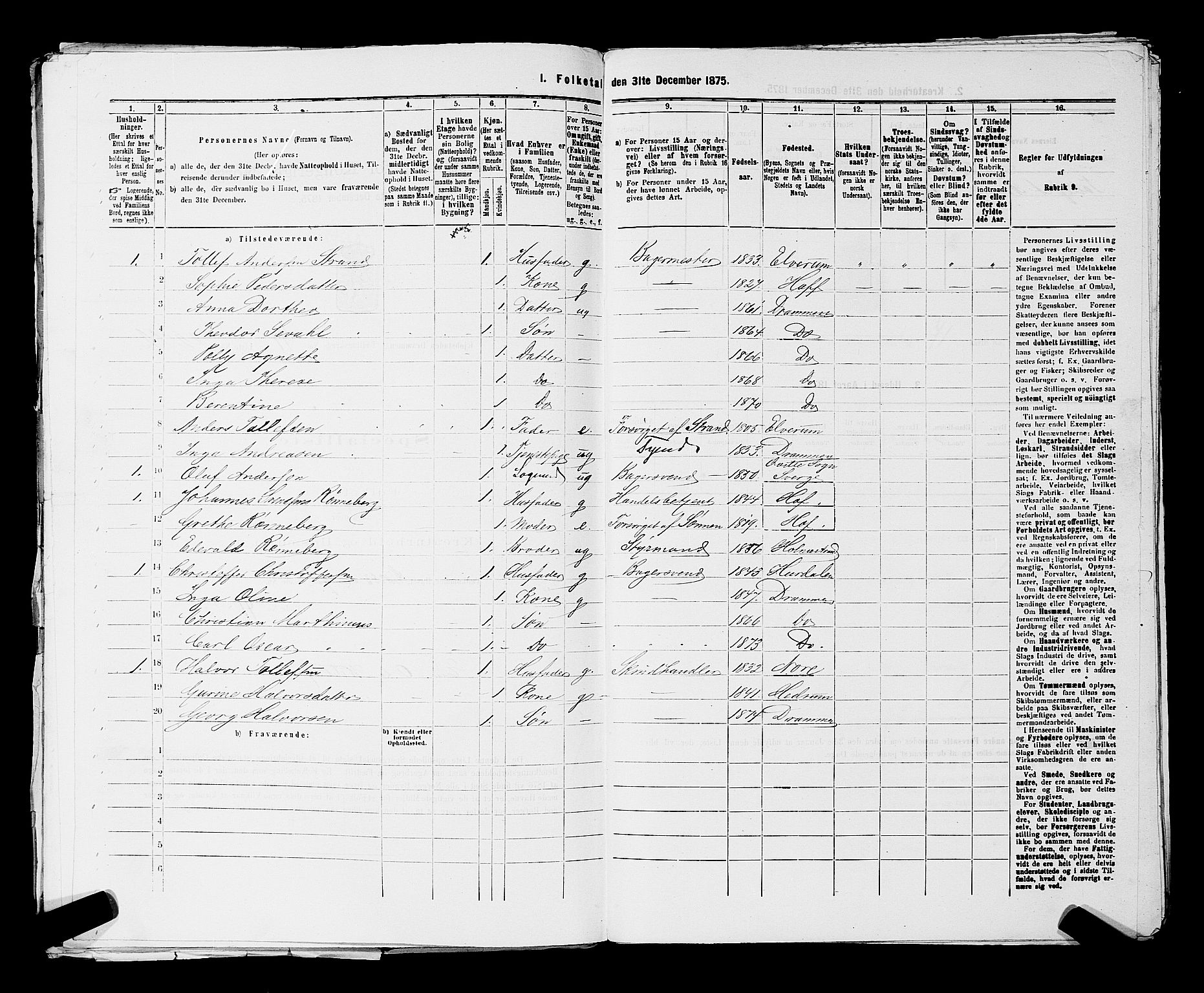 SAKO, 1875 census for 0602 Drammen, 1875, p. 3481