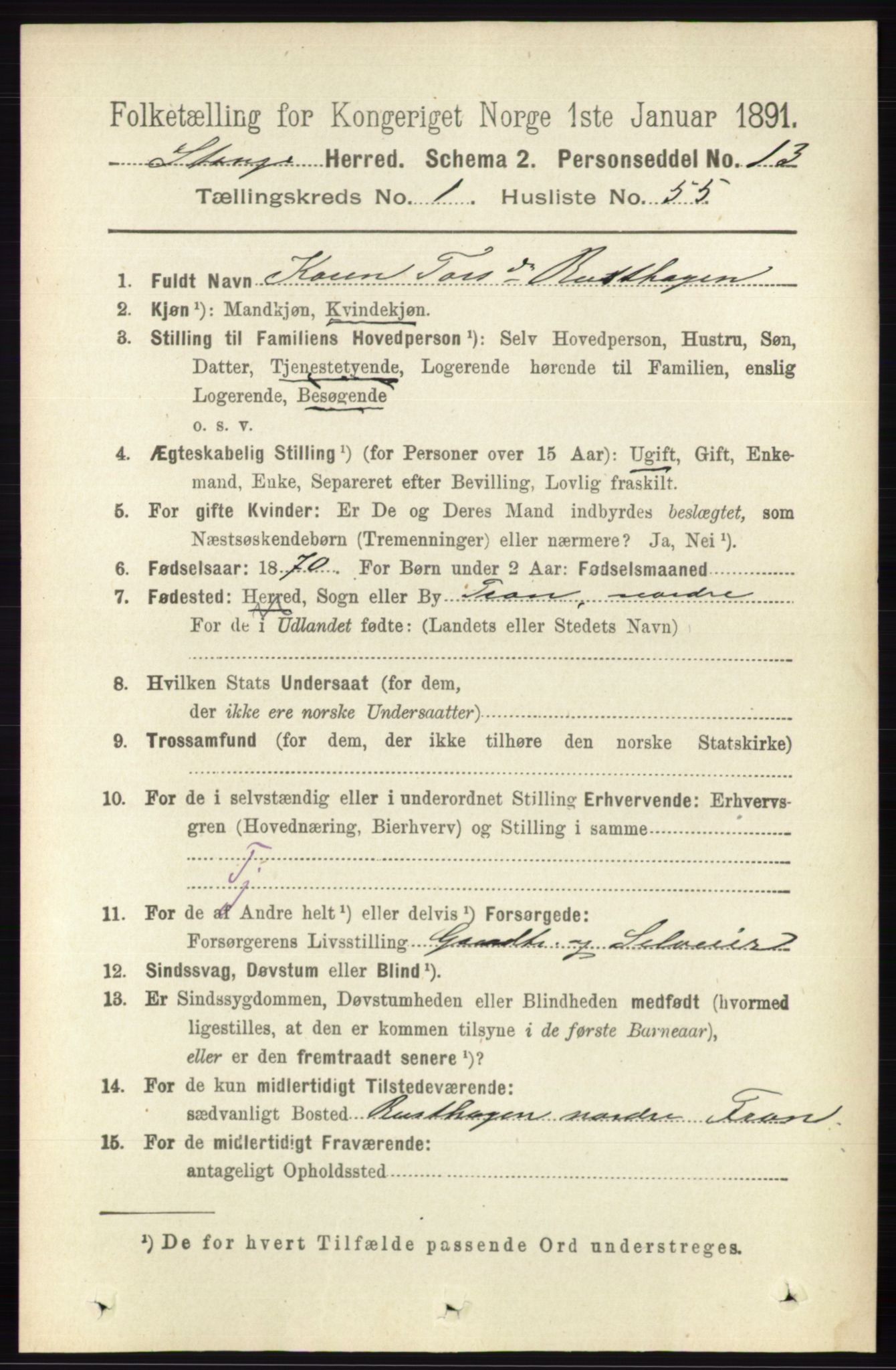 RA, 1891 census for 0417 Stange, 1891, p. 544