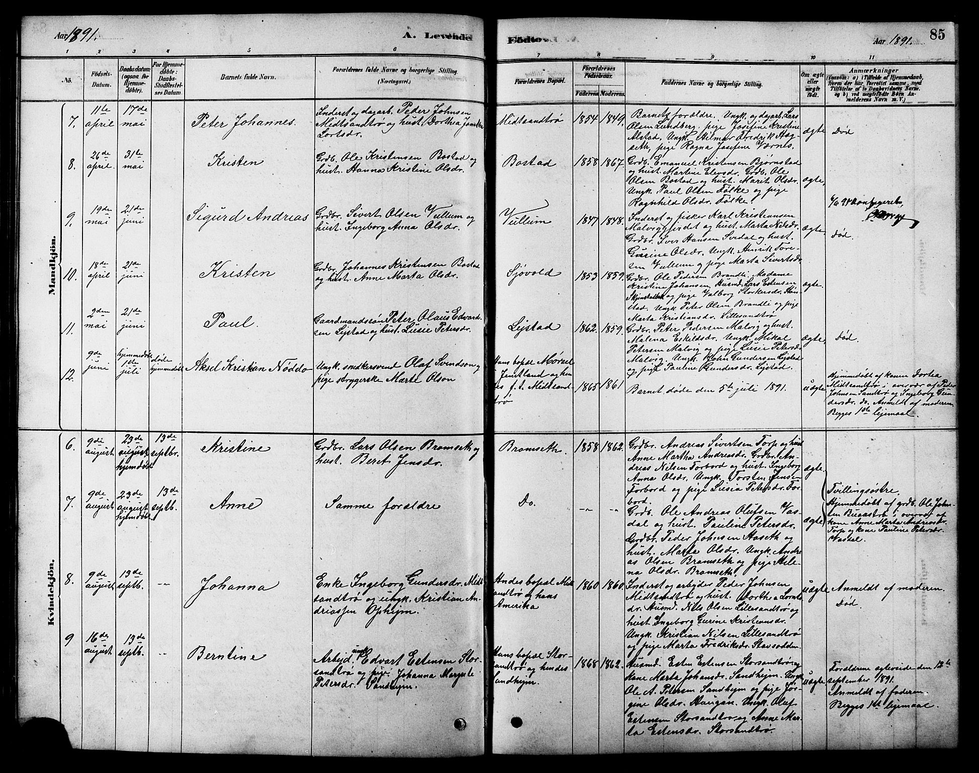 Ministerialprotokoller, klokkerbøker og fødselsregistre - Sør-Trøndelag, SAT/A-1456/616/L0423: Parish register (copy) no. 616C06, 1878-1903, p. 85