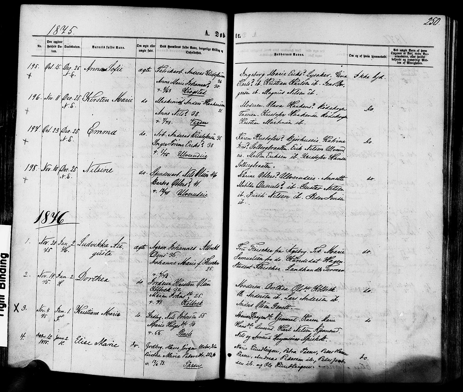 Eiker kirkebøker, AV/SAKO-A-4/F/Fa/L0017: Parish register (official) no. I 17, 1869-1877, p. 250