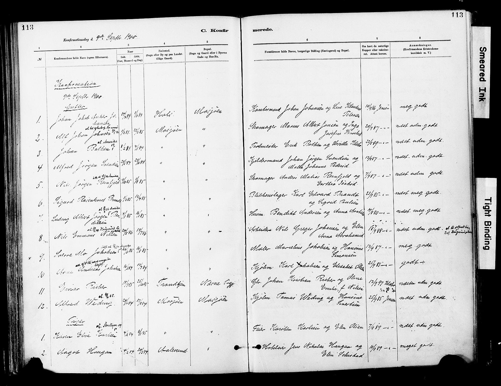 Ministerialprotokoller, klokkerbøker og fødselsregistre - Nordland, AV/SAT-A-1459/820/L0296: Parish register (official) no. 820A17, 1880-1903, p. 113