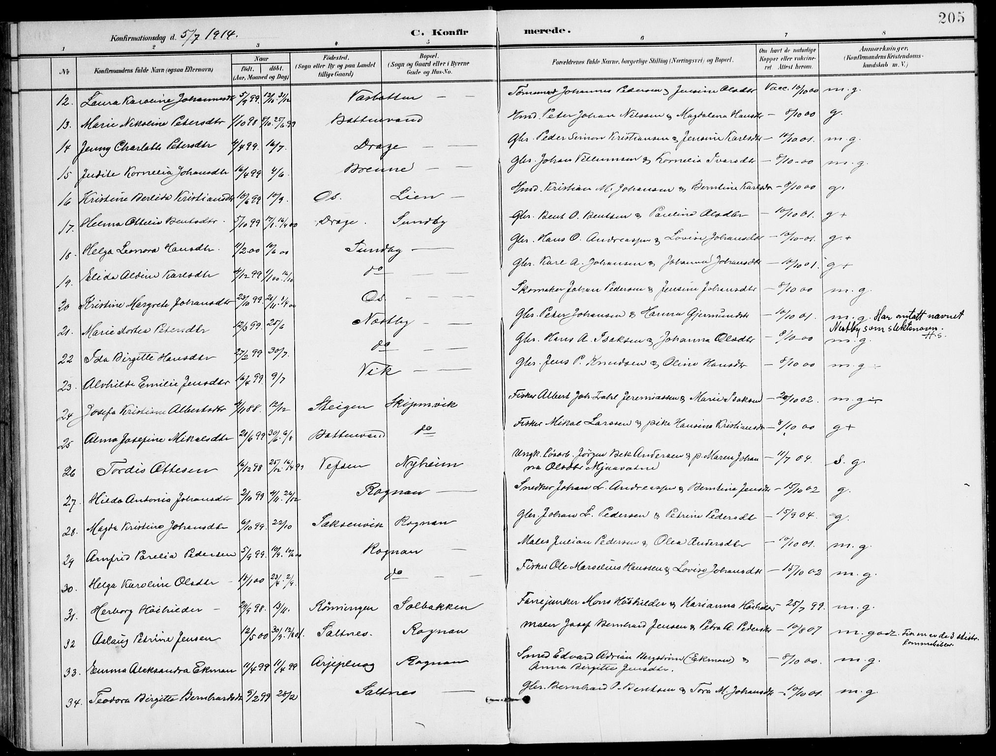 Ministerialprotokoller, klokkerbøker og fødselsregistre - Nordland, AV/SAT-A-1459/847/L0672: Parish register (official) no. 847A12, 1902-1919, p. 205