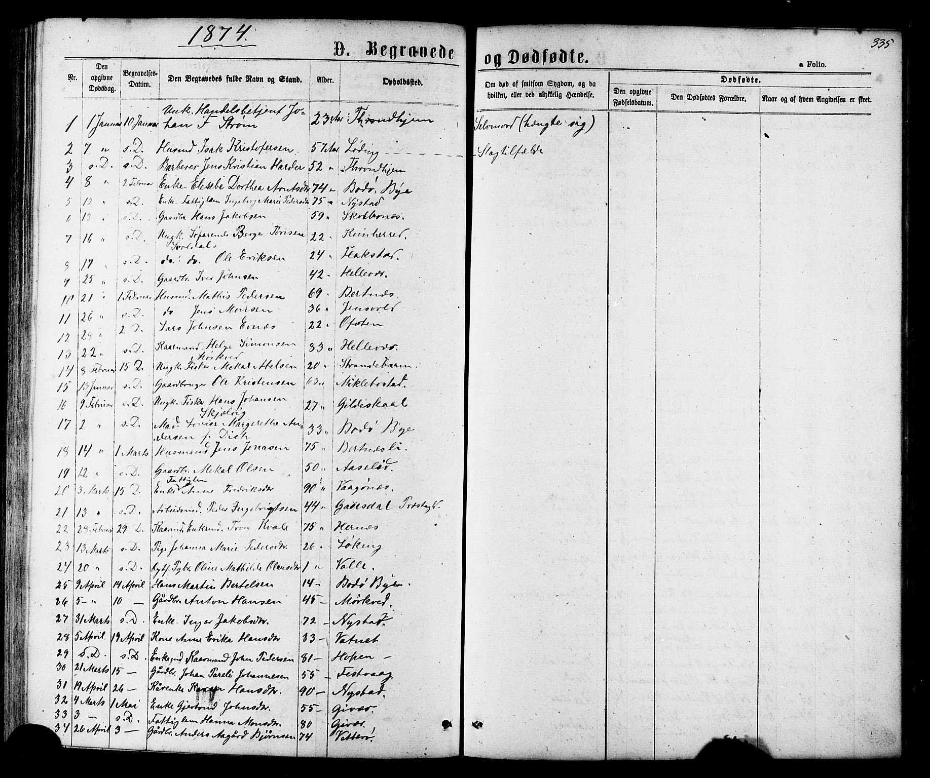 Ministerialprotokoller, klokkerbøker og fødselsregistre - Nordland, SAT/A-1459/801/L0029: Parish register (copy) no. 801C04, 1868-1878, p. 335