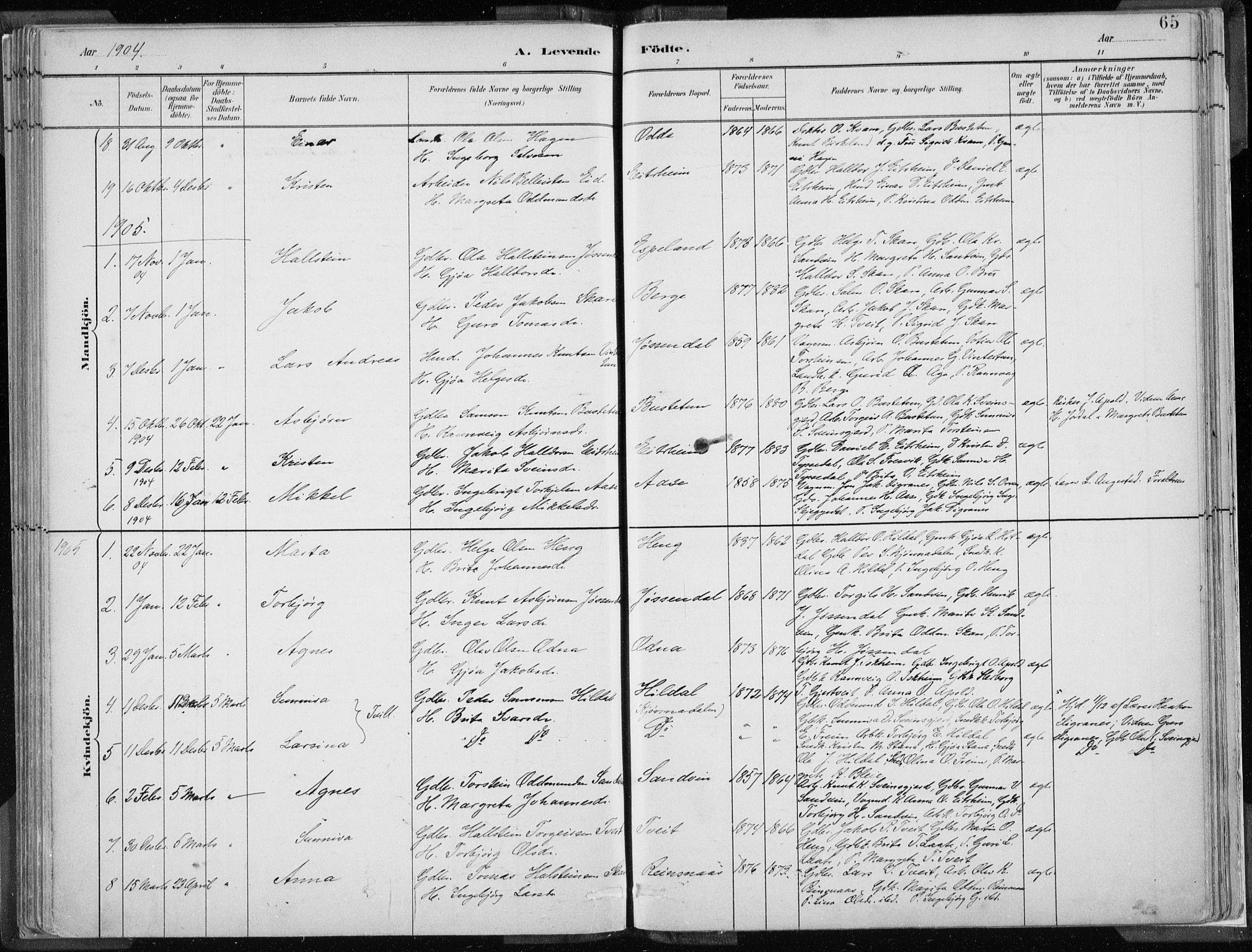 Odda Sokneprestembete, SAB/A-77201/H/Haa: Parish register (official) no. A  3, 1882-1913, p. 65