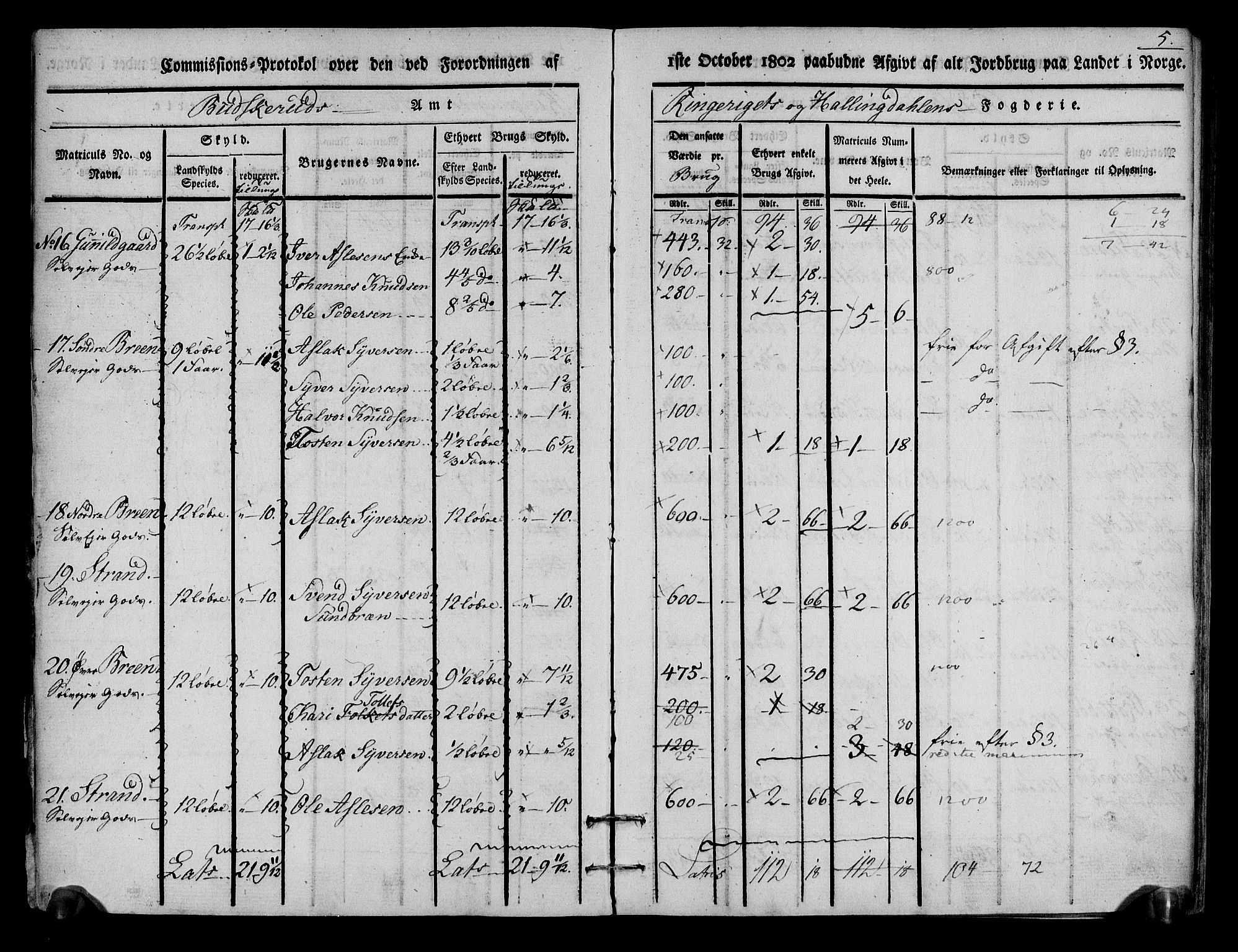 Rentekammeret inntil 1814, Realistisk ordnet avdeling, AV/RA-EA-4070/N/Ne/Nea/L0048: Ringerike og Hallingdal fogderi. Kommisjonsprotokoll for Ål prestegjeld, 1803, p. 6