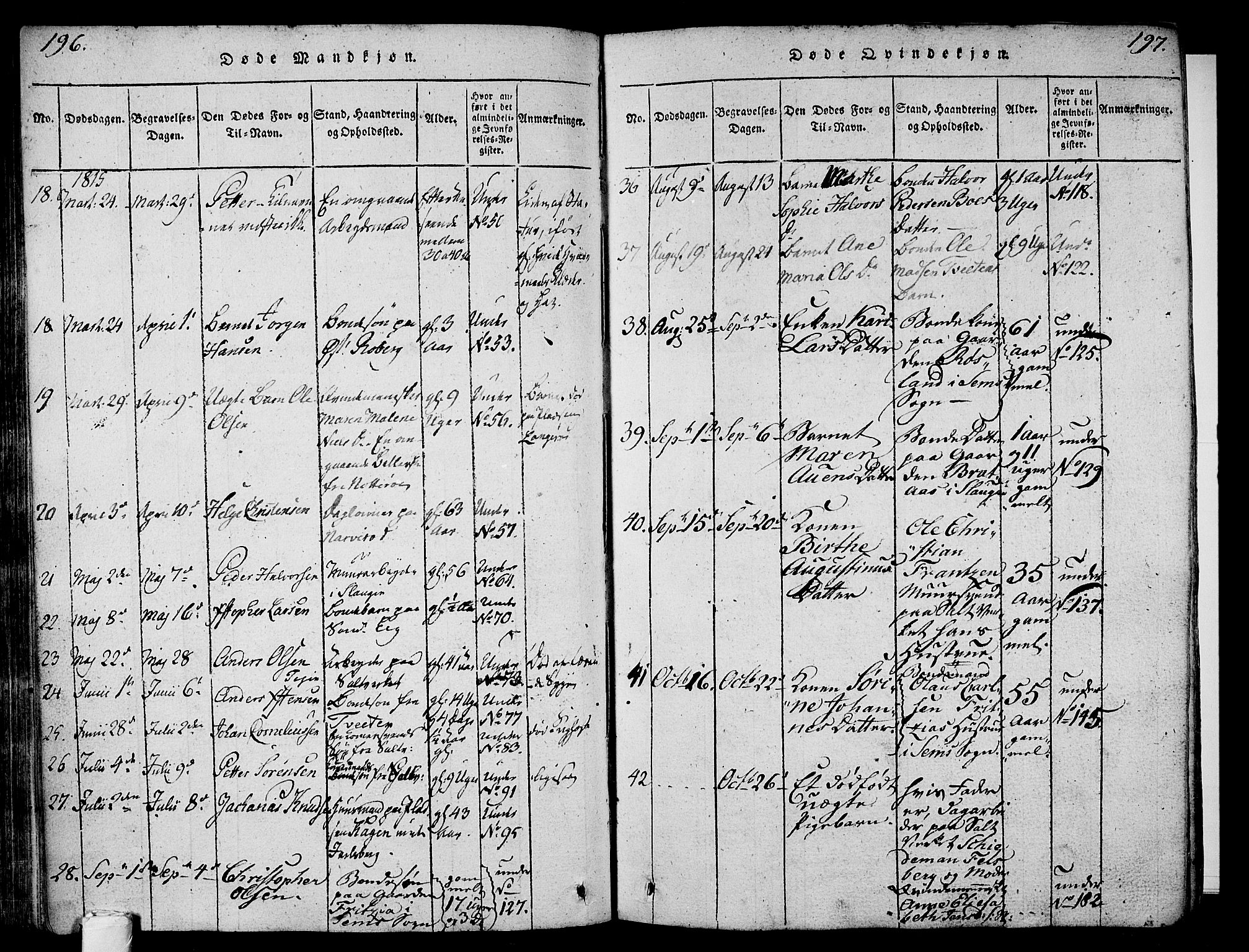 Sem kirkebøker, AV/SAKO-A-5/F/Fa/L0004: Parish register (official) no. I 4, 1814-1825, p. 196-197