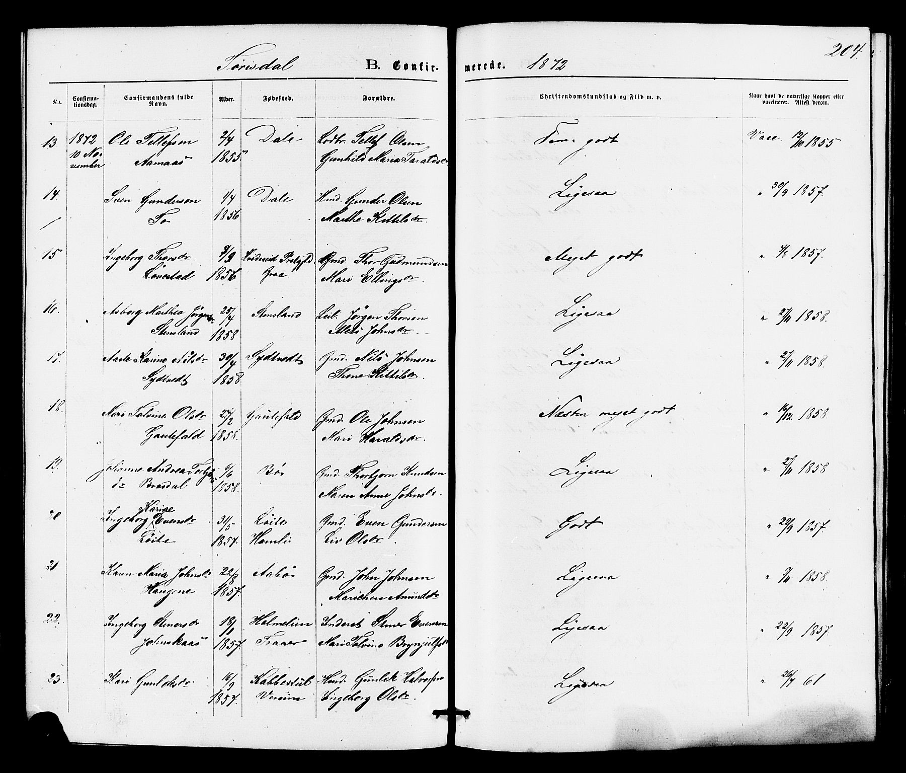 Drangedal kirkebøker, SAKO/A-258/F/Fa/L0009: Parish register (official) no. 9 /2, 1872-1884, p. 204