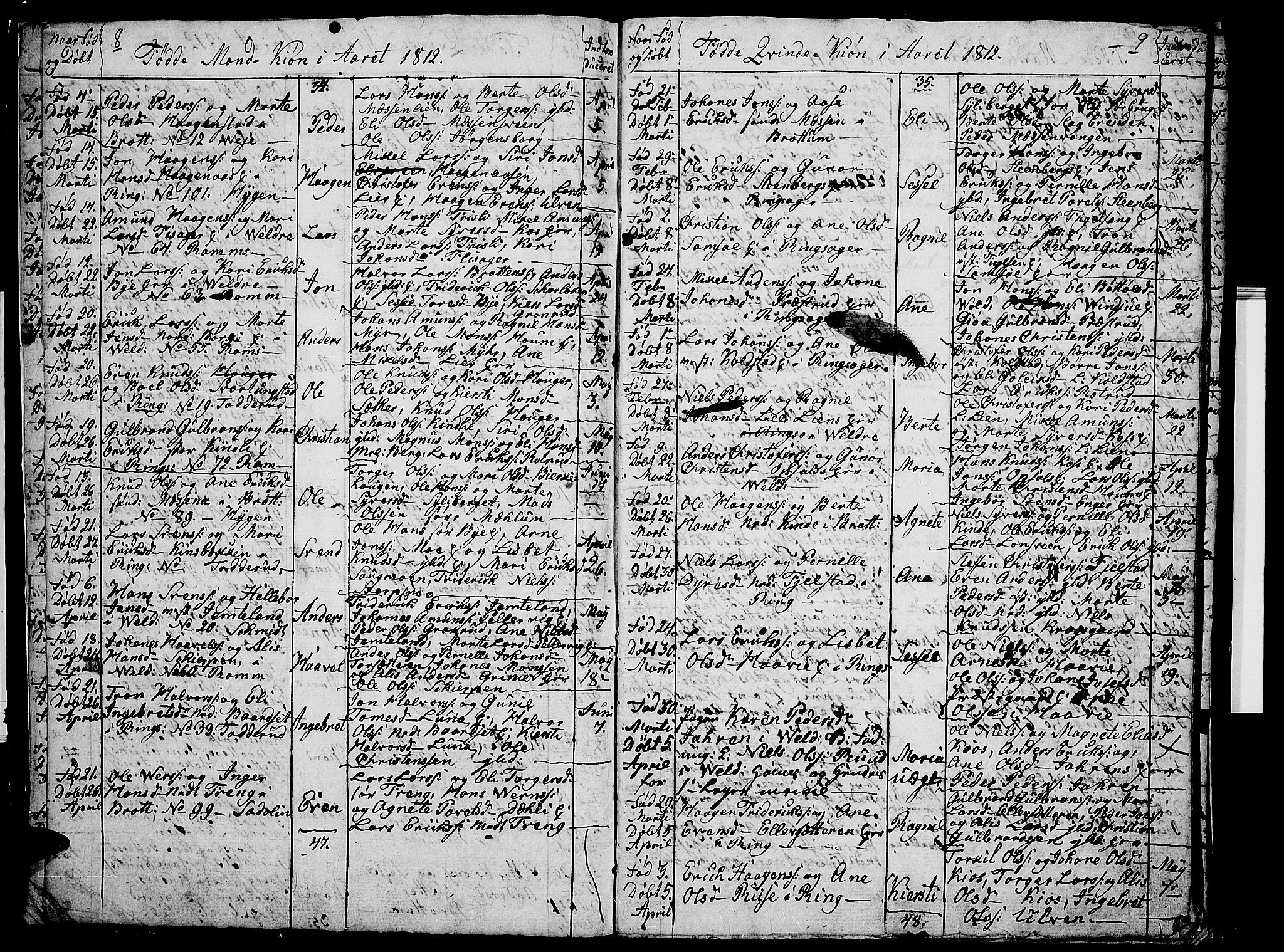 Ringsaker prestekontor, AV/SAH-PREST-014/I/Ia/L0005/0009: Parish register draft no. 5.9, 1811-1814, p. 8-9