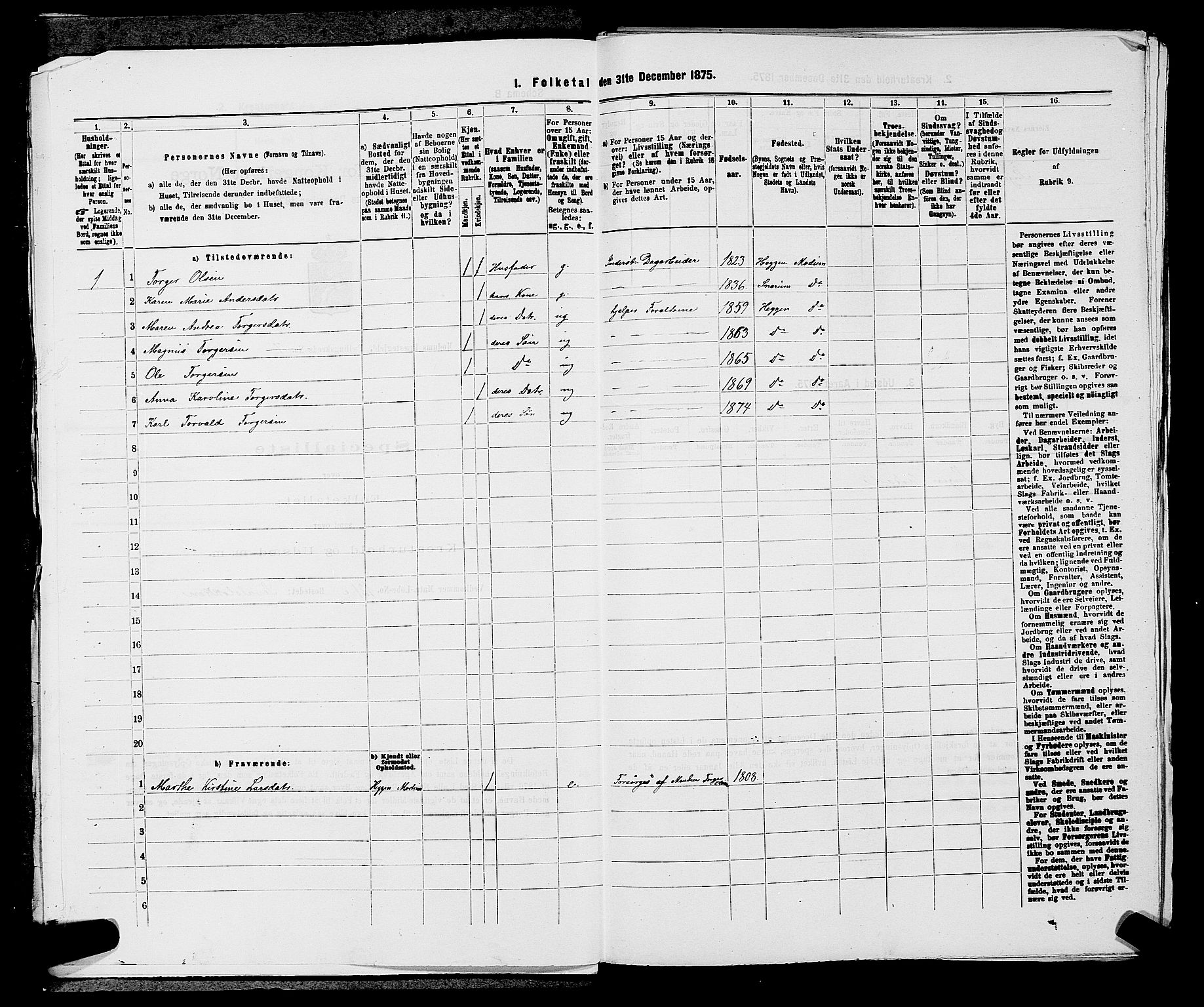 SAKO, 1875 census for 0623P Modum, 1875, p. 738