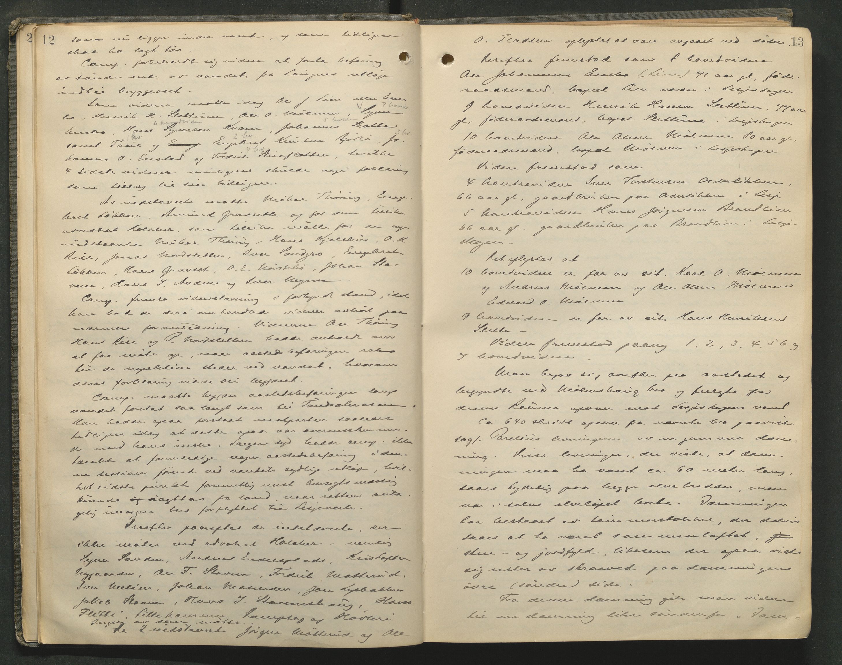 Nord-Gudbrandsdal tingrett, AV/SAH-TING-002/G/Gc/Gcb/L0009: Ekstrarettsprotokoll for åstedssaker, 1910-1913, p. 12-13