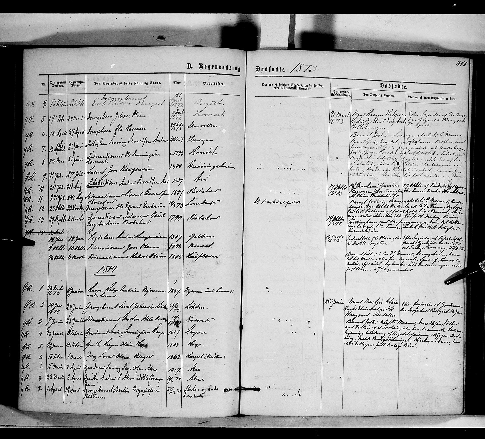 Rendalen prestekontor, SAH/PREST-054/H/Ha/Haa/L0006: Parish register (official) no. 6, 1867-1877, p. 248