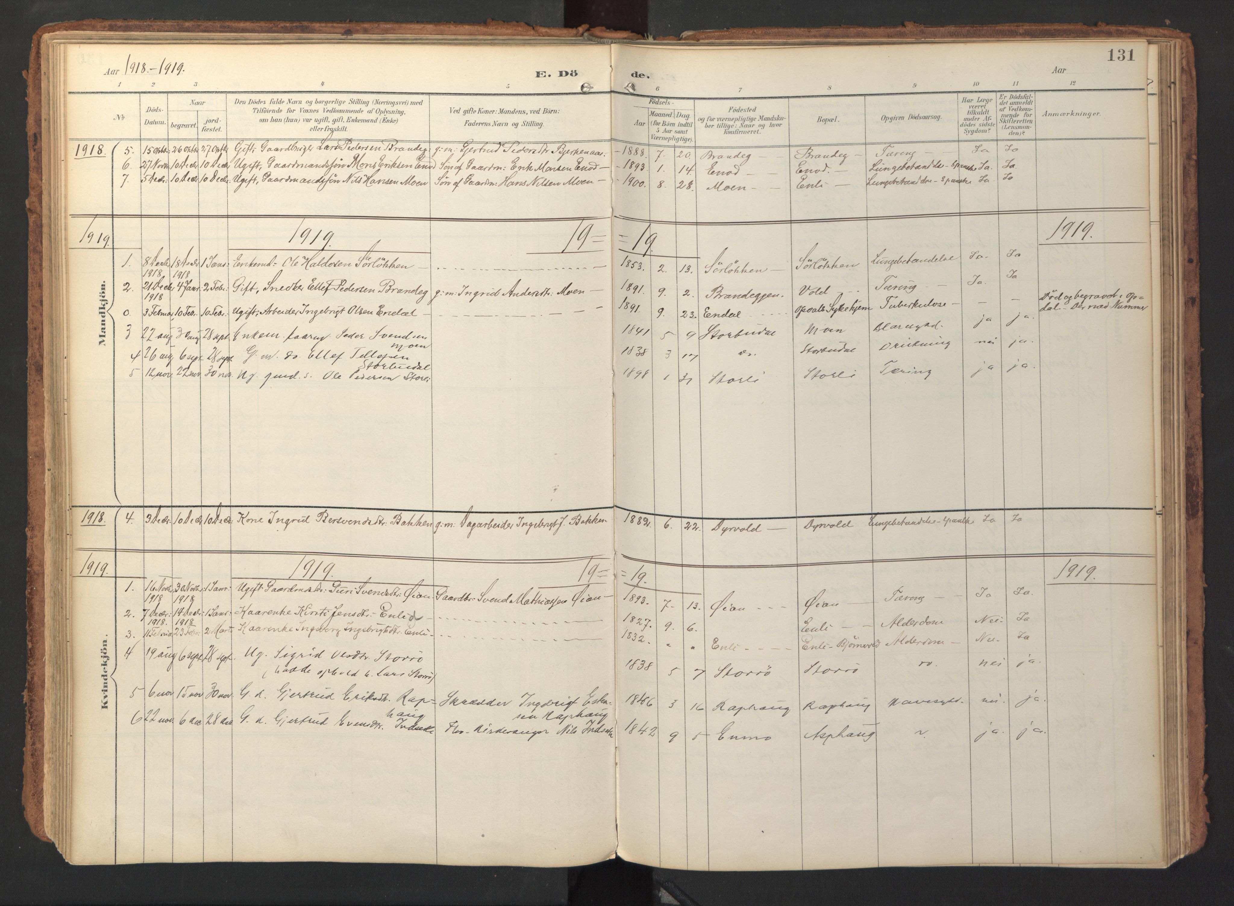 Ministerialprotokoller, klokkerbøker og fødselsregistre - Sør-Trøndelag, SAT/A-1456/690/L1050: Parish register (official) no. 690A01, 1889-1929, p. 131