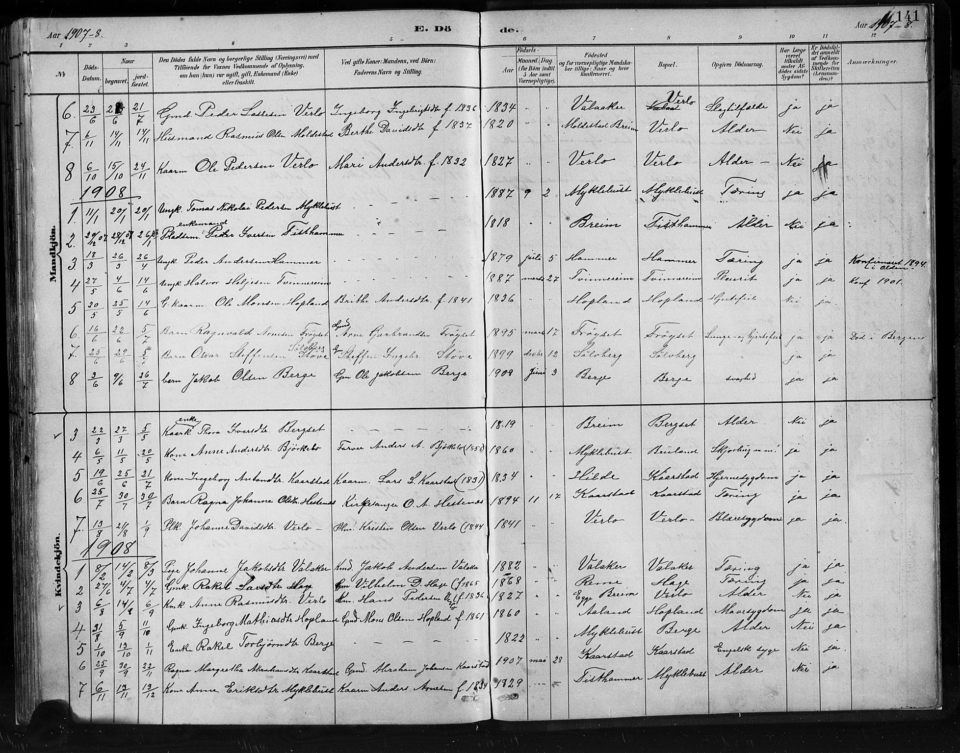 Innvik sokneprestembete, SAB/A-80501: Parish register (copy) no. C 3, 1883-1911, p. 141