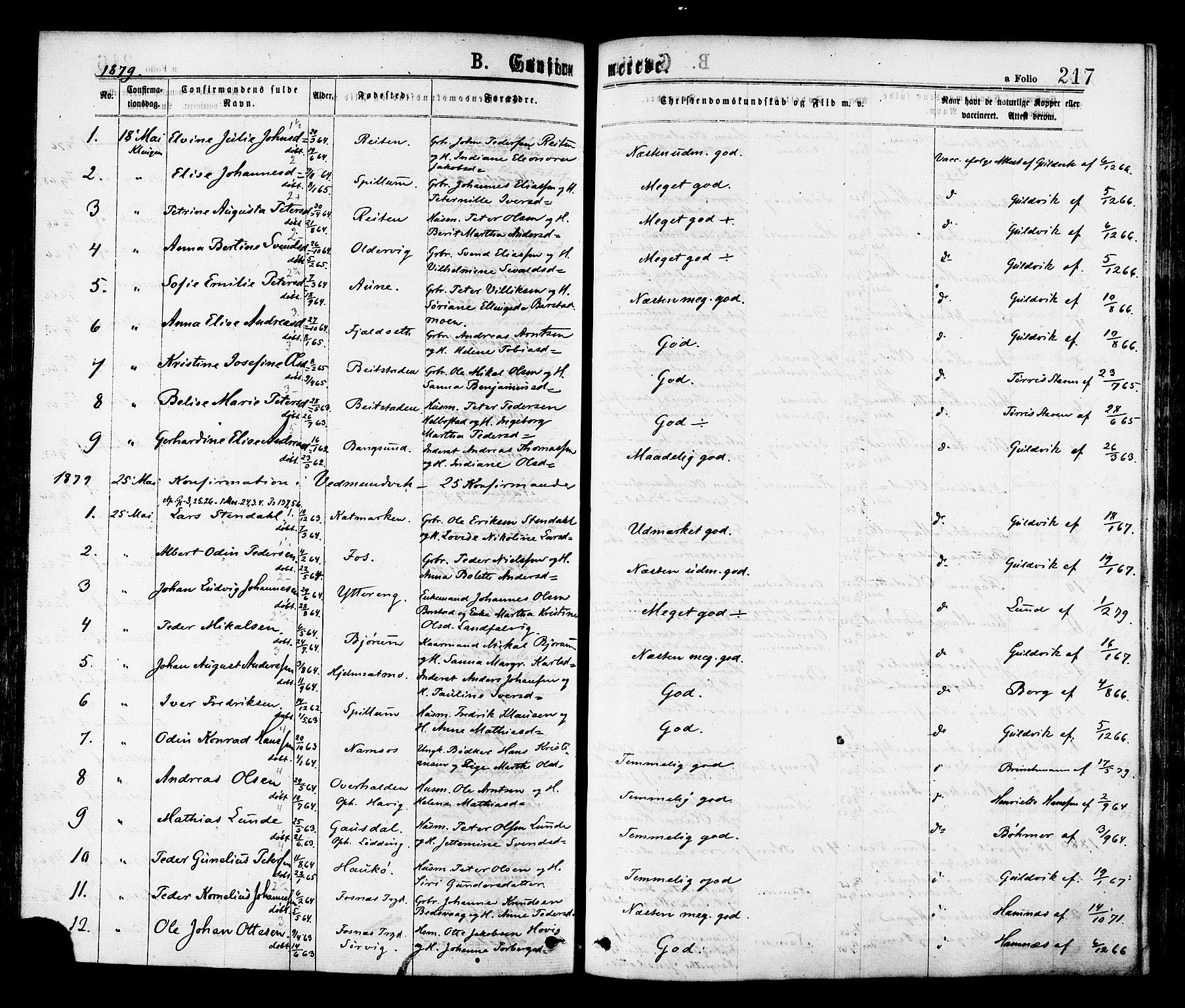 Ministerialprotokoller, klokkerbøker og fødselsregistre - Nord-Trøndelag, SAT/A-1458/768/L0572: Parish register (official) no. 768A07, 1874-1886, p. 217