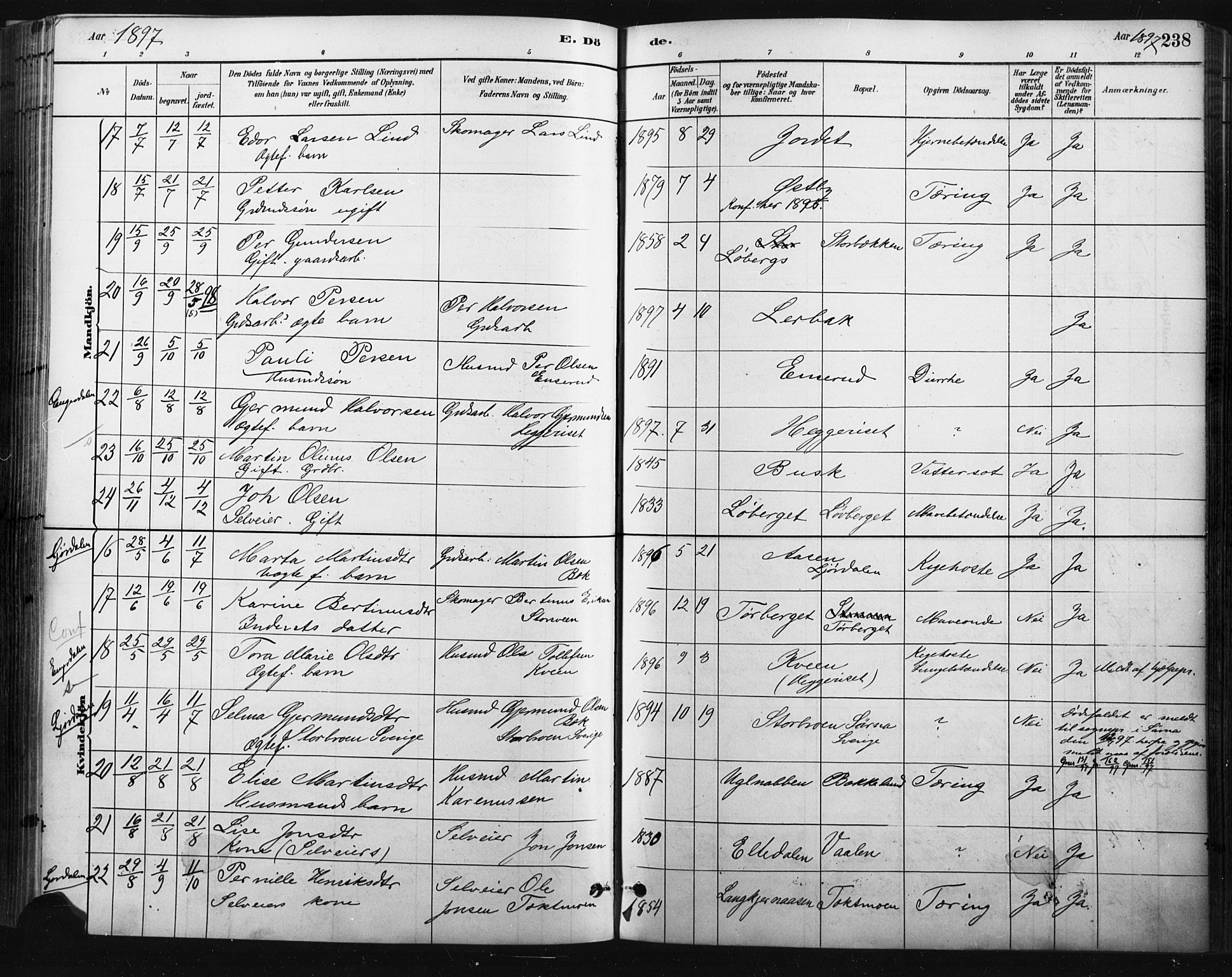 Trysil prestekontor, AV/SAH-PREST-046/H/Ha/Haa/L0009: Parish register (official) no. 9, 1881-1897, p. 238