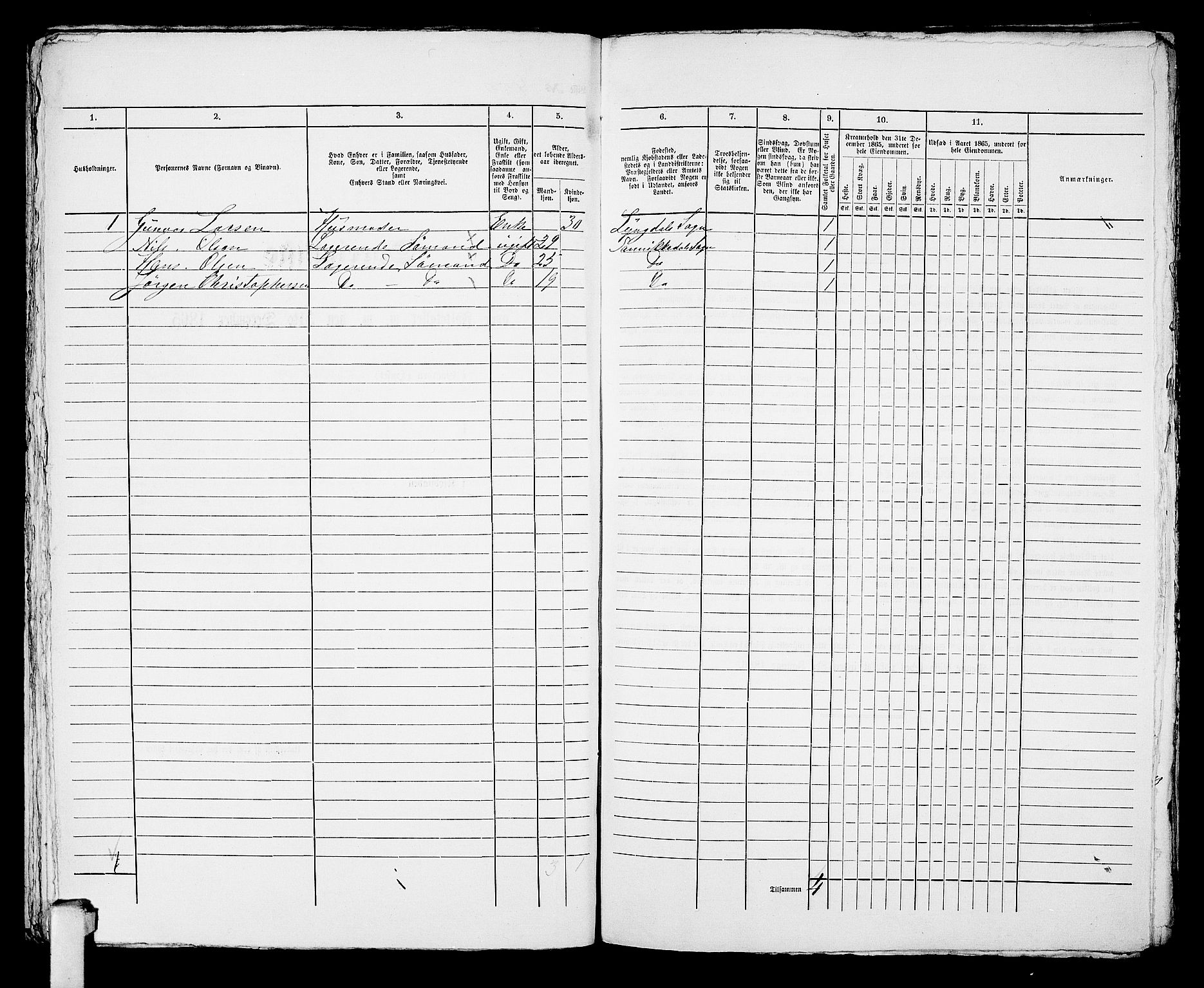 RA, 1865 census for Kragerø/Kragerø, 1865, p. 917