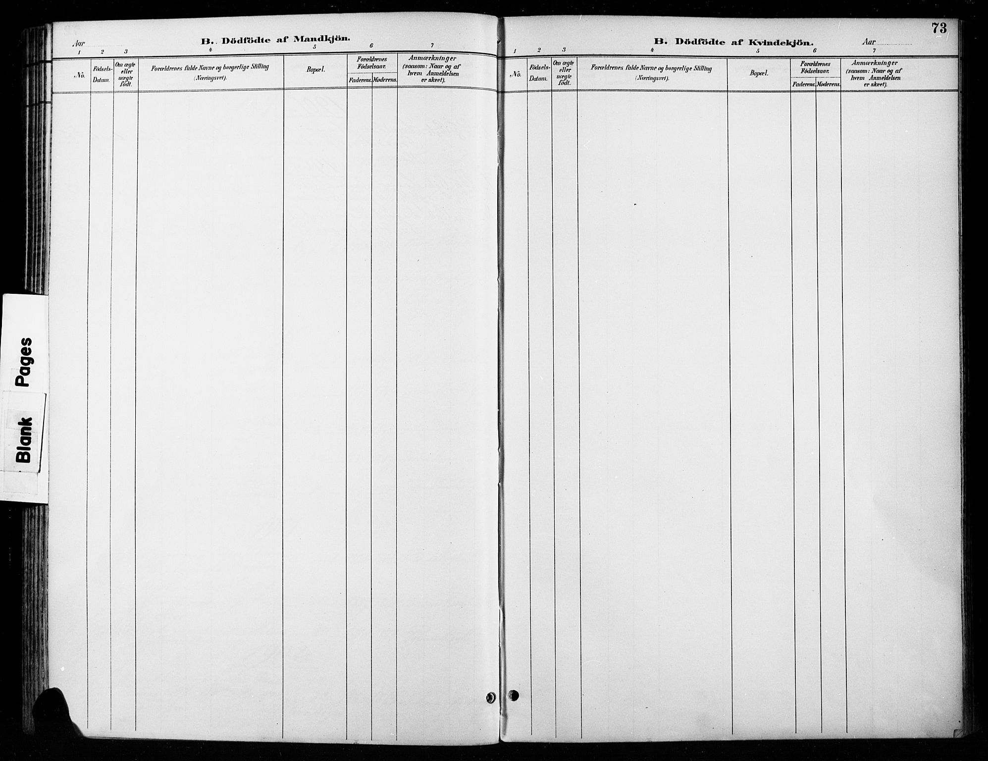 Vardal prestekontor, SAH/PREST-100/H/Ha/Haa/L0011: Parish register (official) no. 11, 1891-1901, p. 73