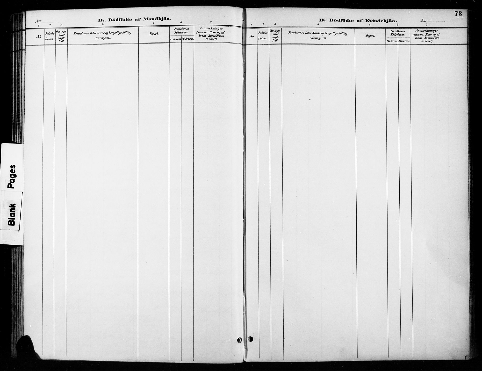 Vardal prestekontor, AV/SAH-PREST-100/H/Ha/Haa/L0011: Parish register (official) no. 11, 1891-1901, p. 73