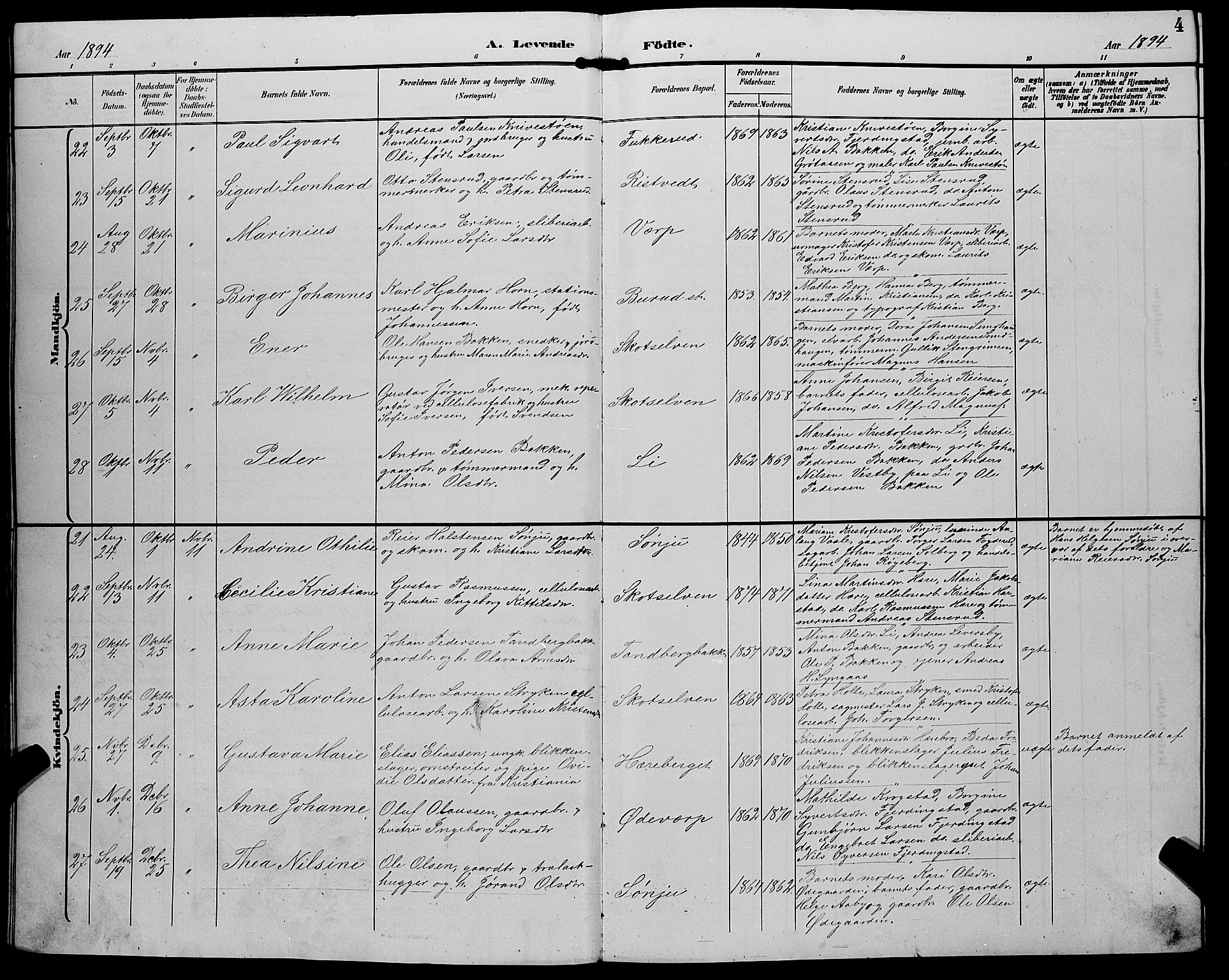 Eiker kirkebøker, AV/SAKO-A-4/G/Gb/L0004: Parish register (copy) no. II 4, 1894-1900, p. 4