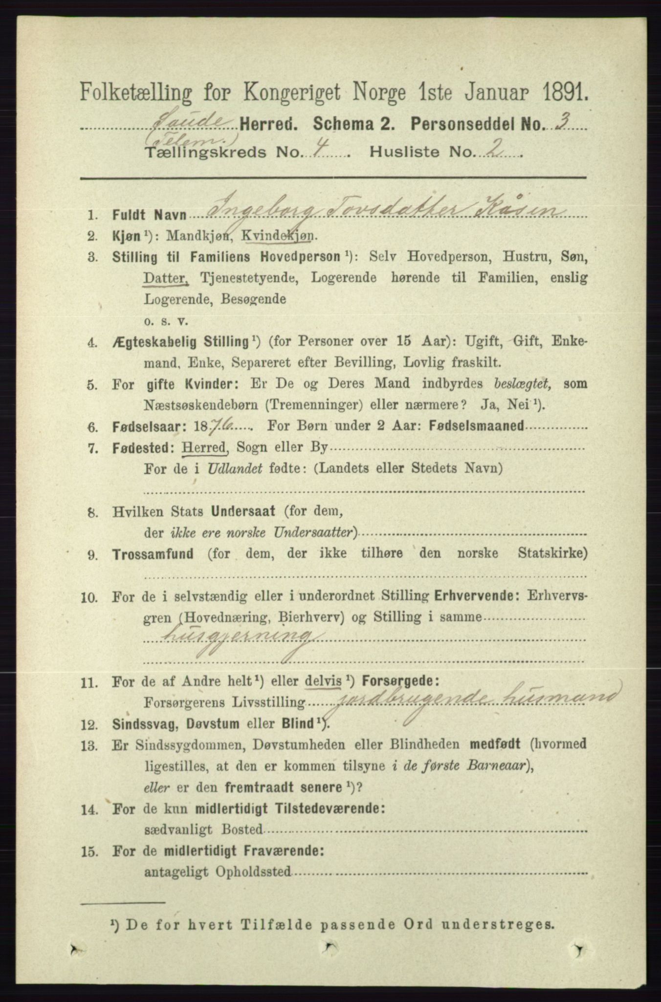 RA, 1891 census for 0822 Sauherad, 1891, p. 1103