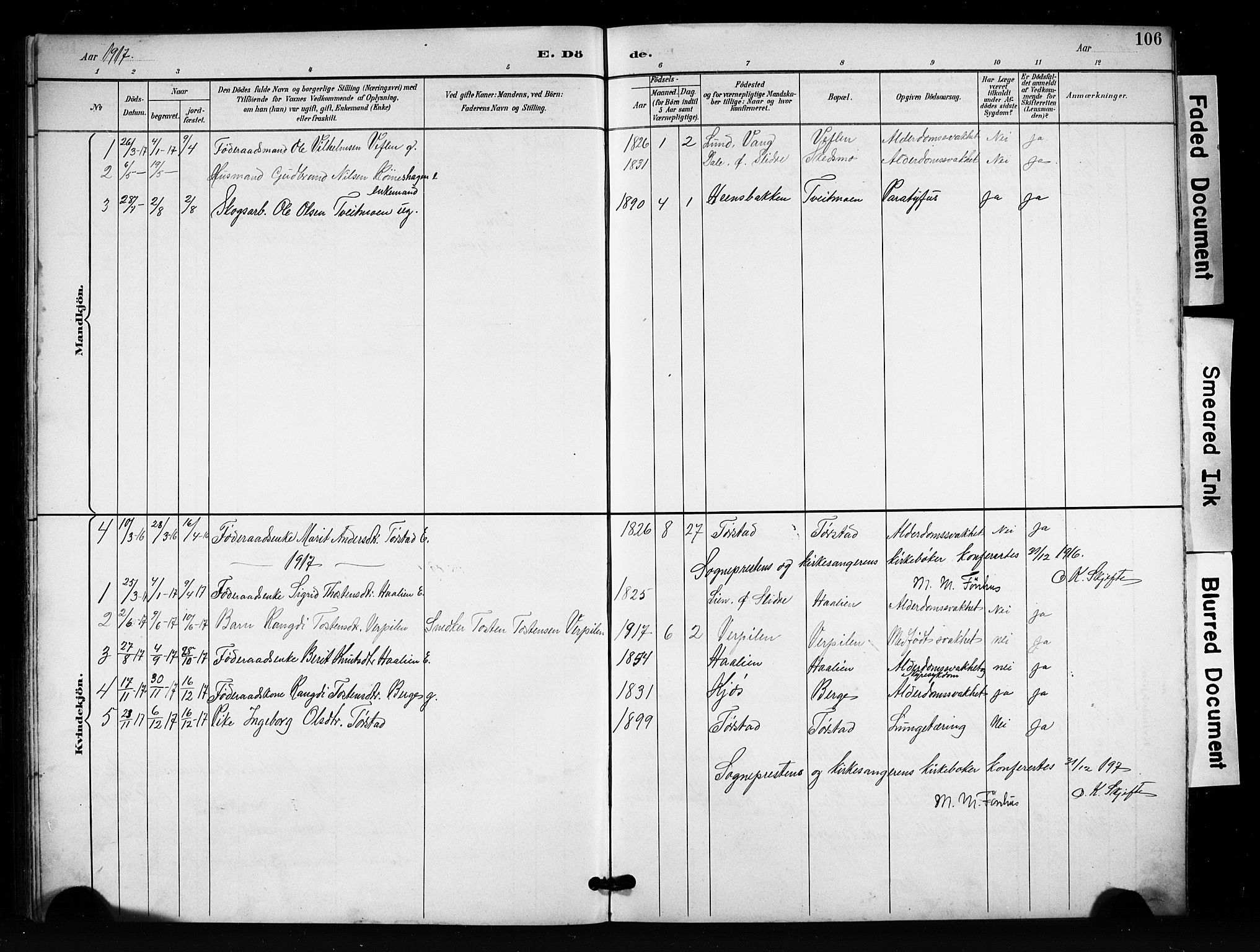 Vang prestekontor, Valdres, SAH/PREST-140/H/Hb/L0007: Parish register (copy) no. 7, 1893-1924, p. 106