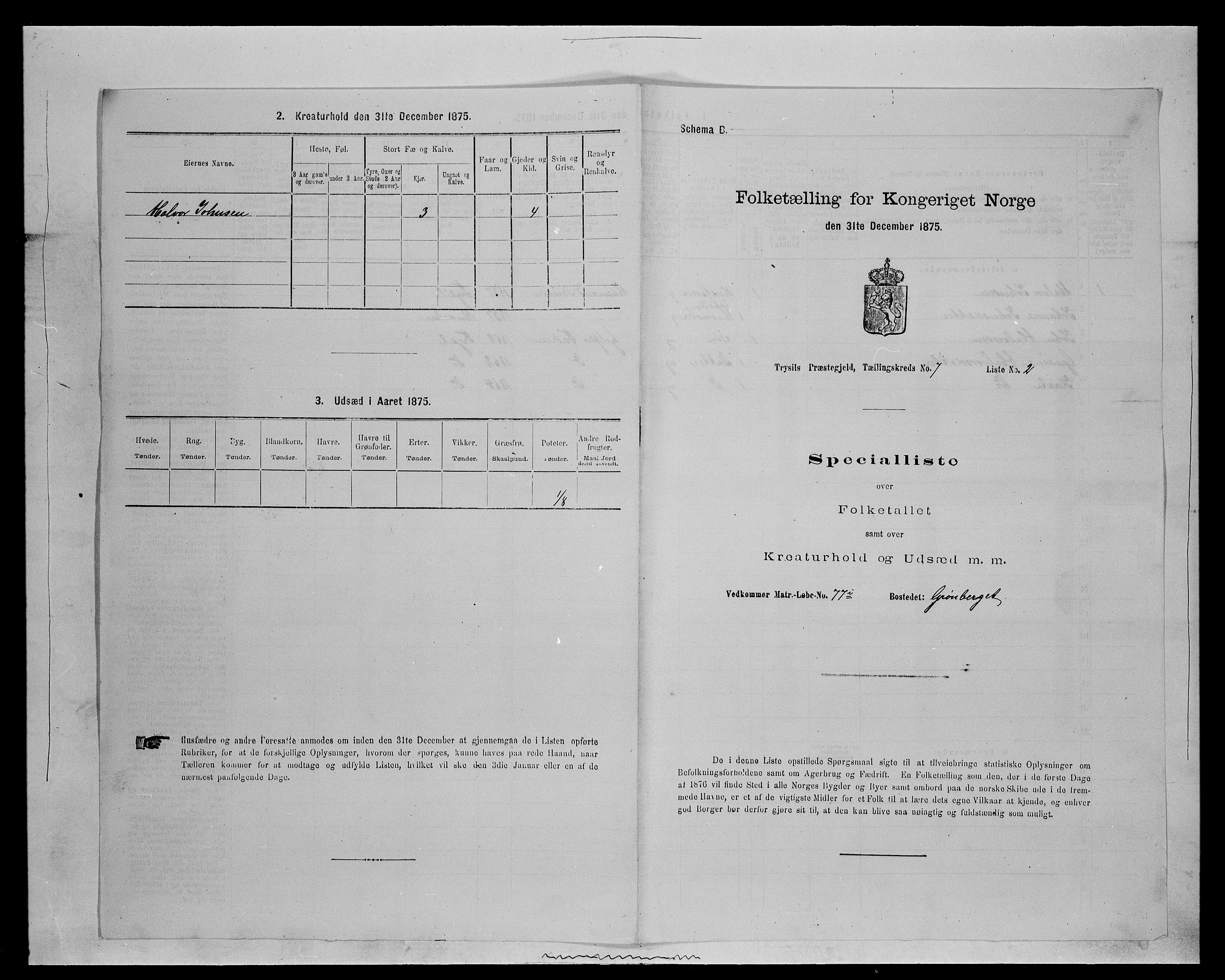 SAH, 1875 census for 0428P Trysil, 1875, p. 846