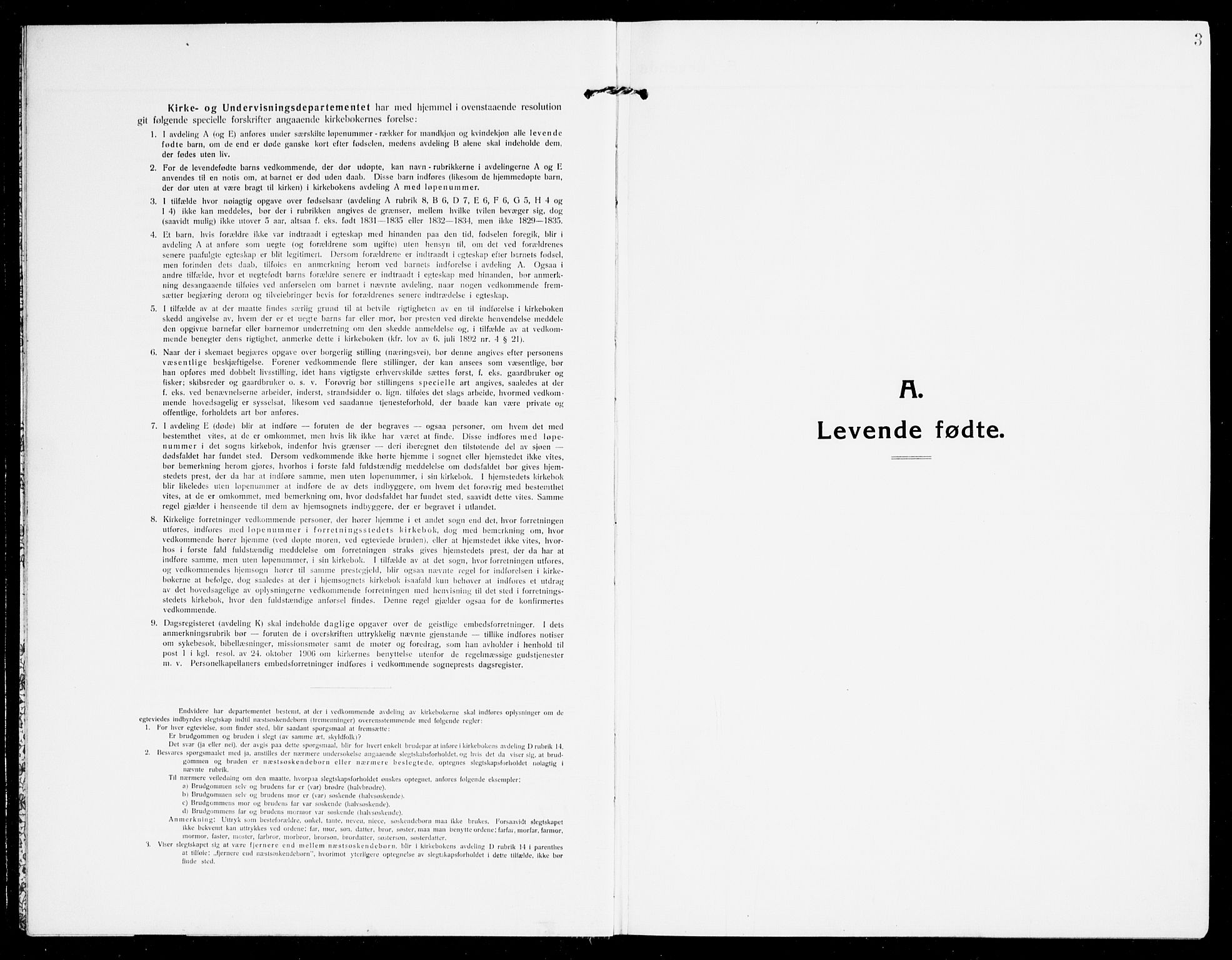 Åmli sokneprestkontor, SAK/1111-0050/F/Fb/Fbb/L0003: Parish register (copy) no. B 3, 1906-1941, p. 3