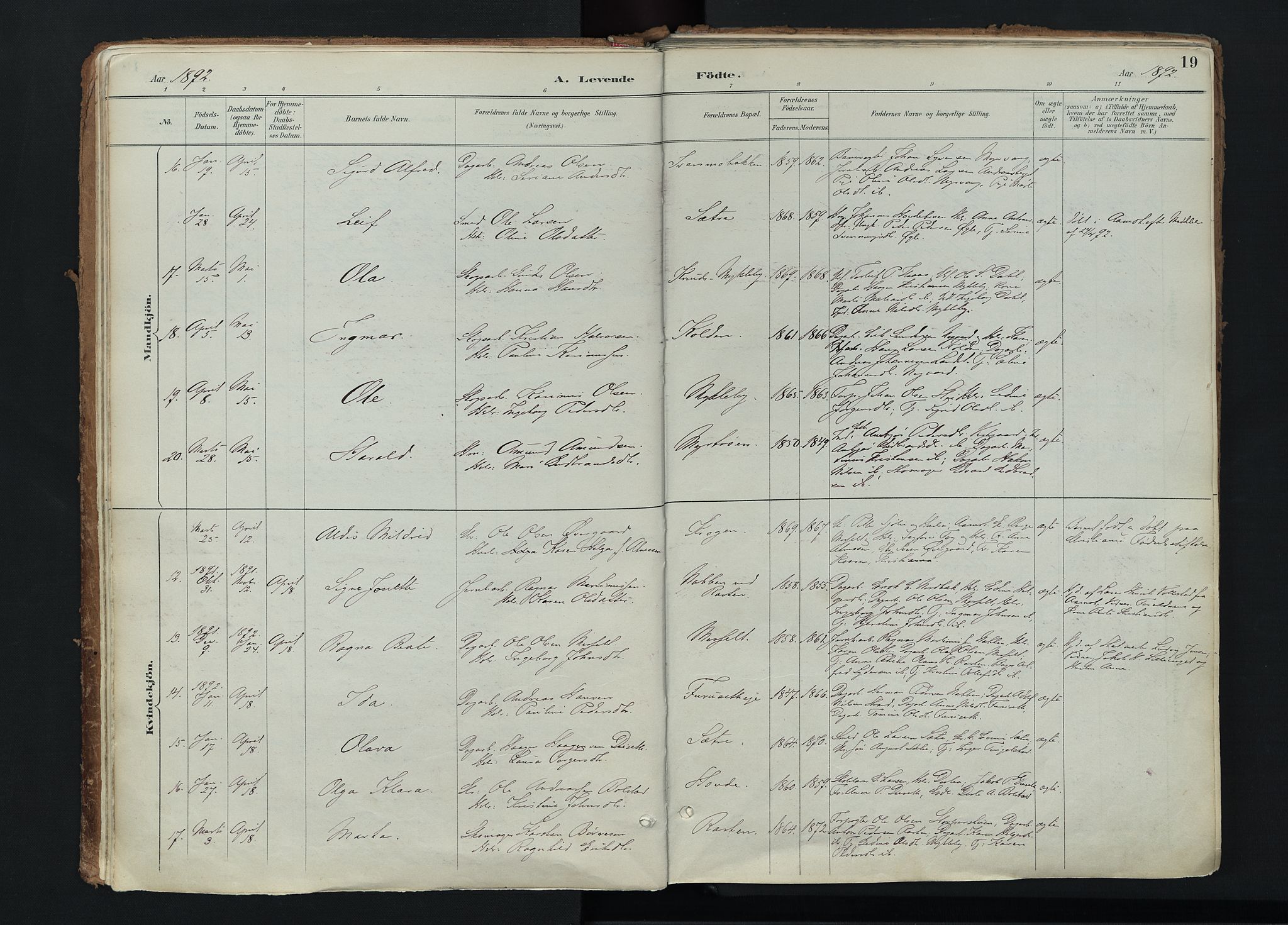 Stor-Elvdal prestekontor, SAH/PREST-052/H/Ha/Haa/L0004: Parish register (official) no. 4, 1890-1922, p. 19