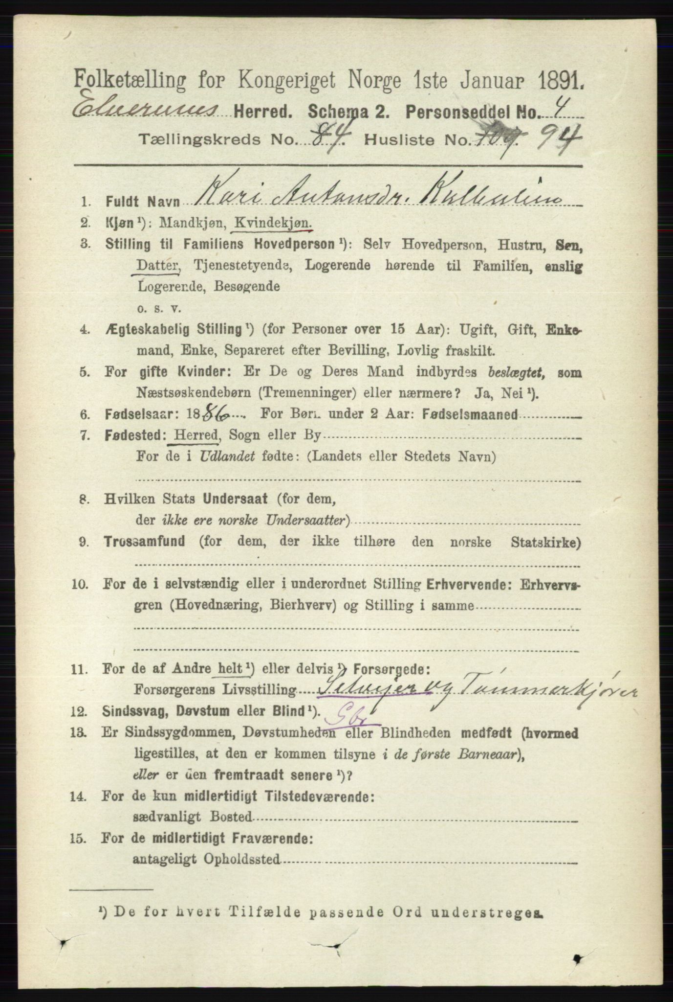 RA, 1891 census for 0427 Elverum, 1891, p. 2917