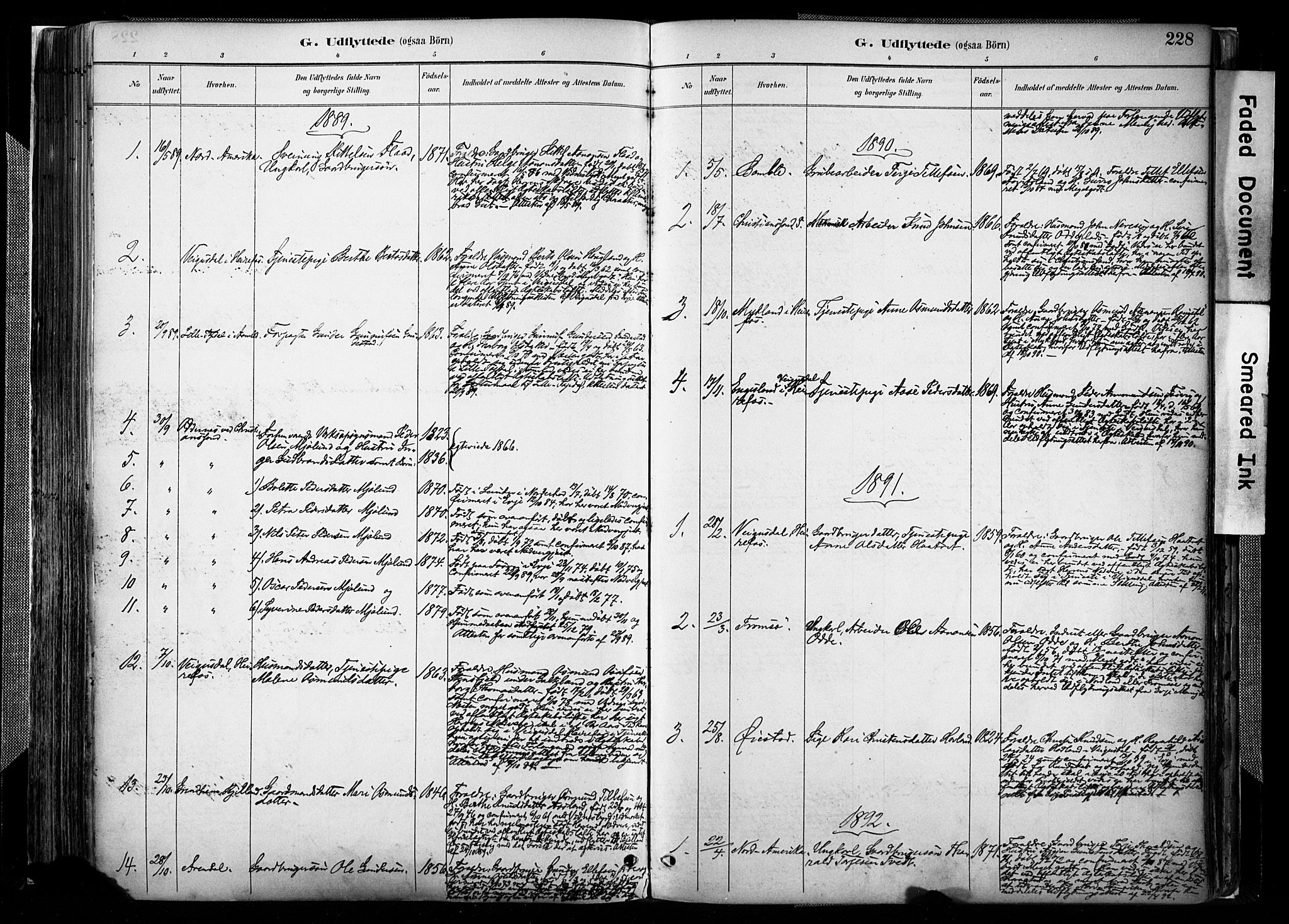 Evje sokneprestkontor, AV/SAK-1111-0008/F/Fa/Faa/L0007: Parish register (official) no. A 7, 1884-1909, p. 228