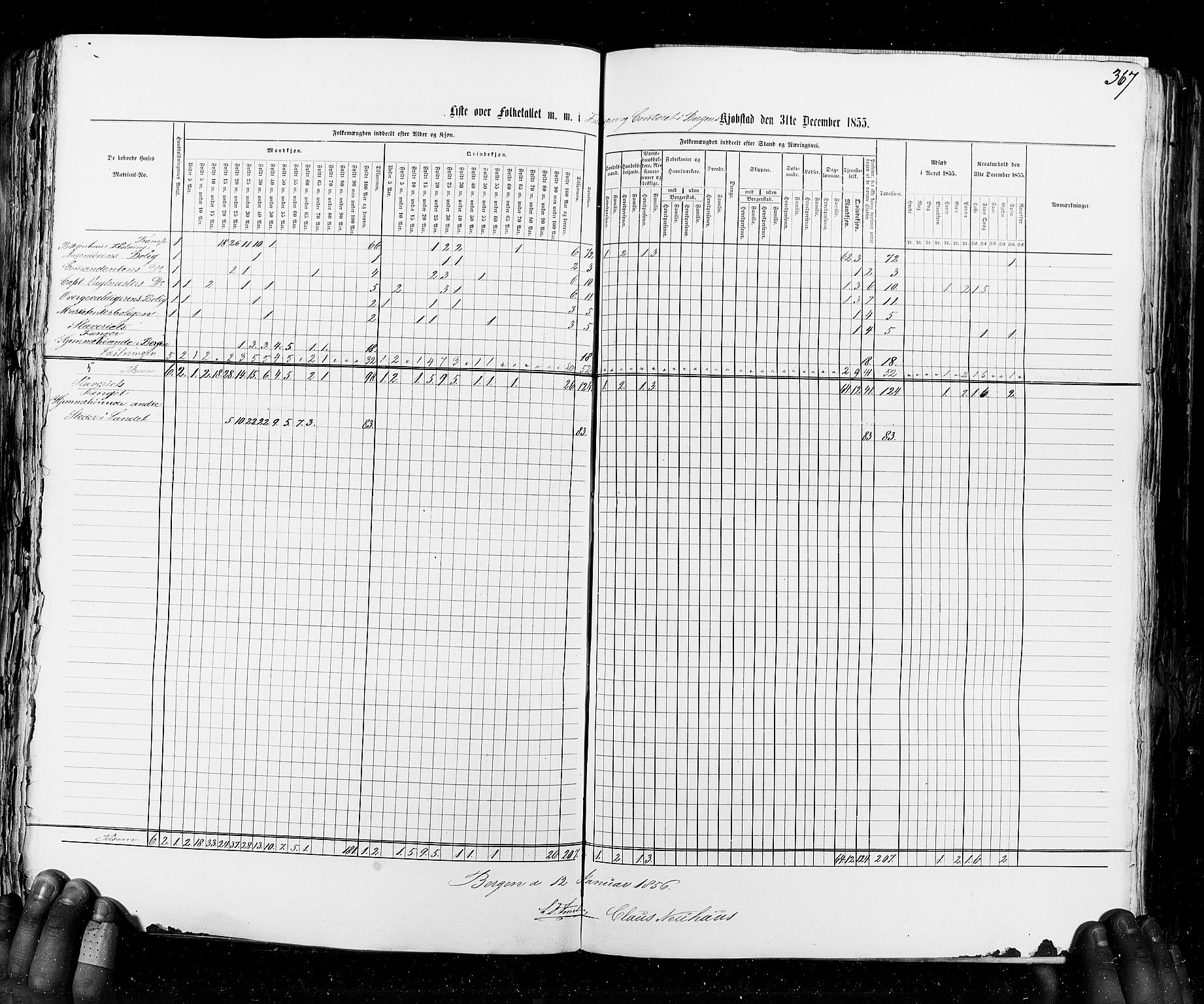 RA, Census 1855, vol. 8: Risør-Vadsø, 1855, p. 367