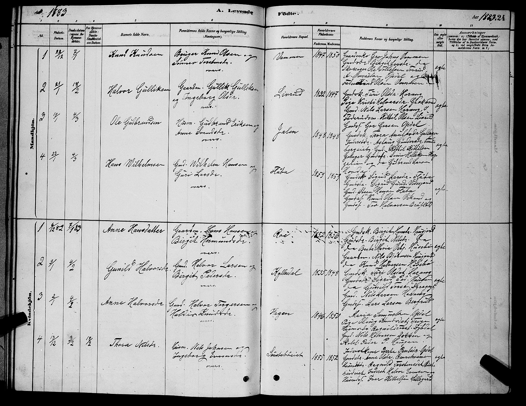 Nore kirkebøker, AV/SAKO-A-238/G/Gb/L0002: Parish register (copy) no. II 2, 1878-1894, p. 24