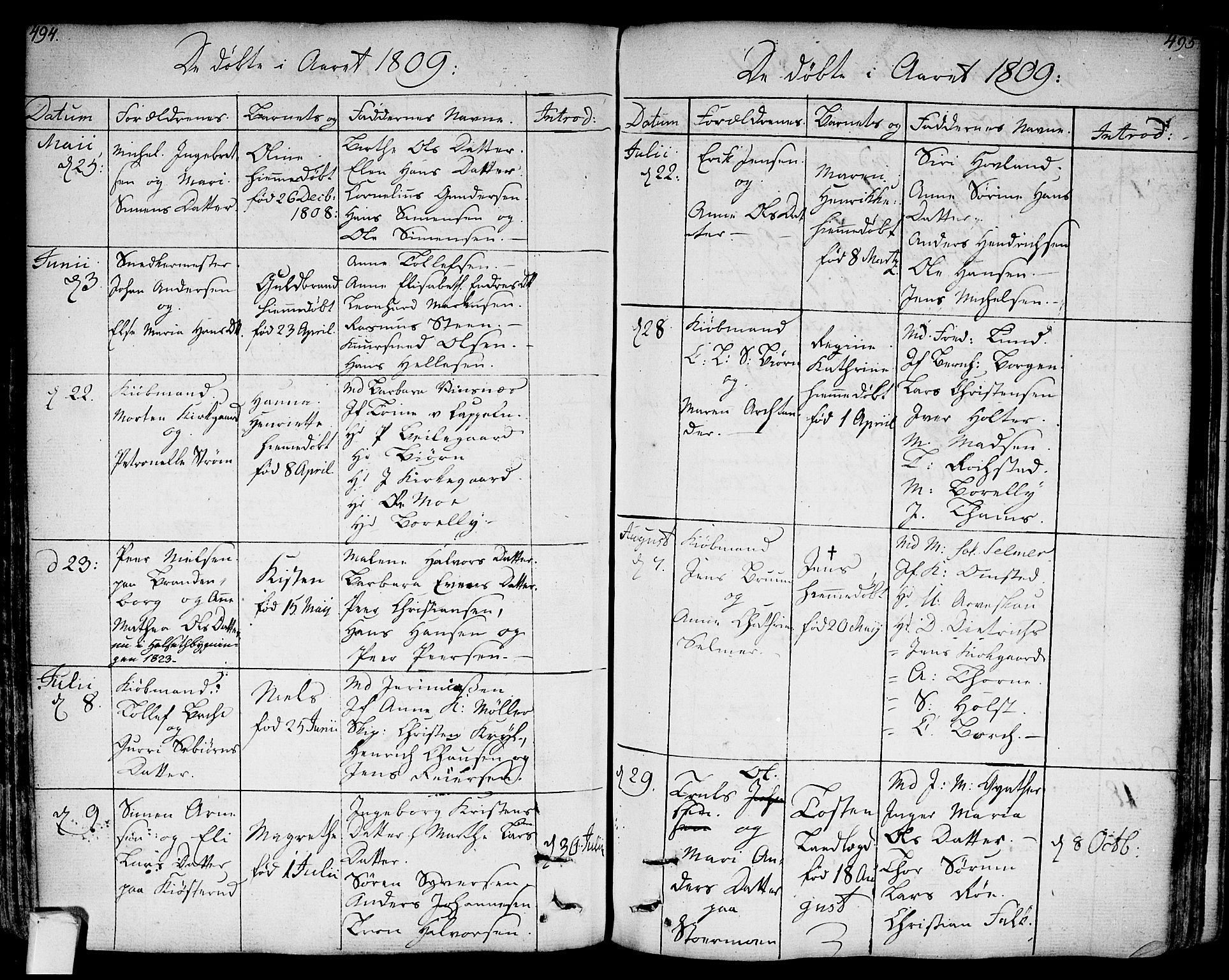 Bragernes kirkebøker, SAKO/A-6/F/Fa/L0006a: Parish register (official) no. I 6, 1782-1814, p. 494-495