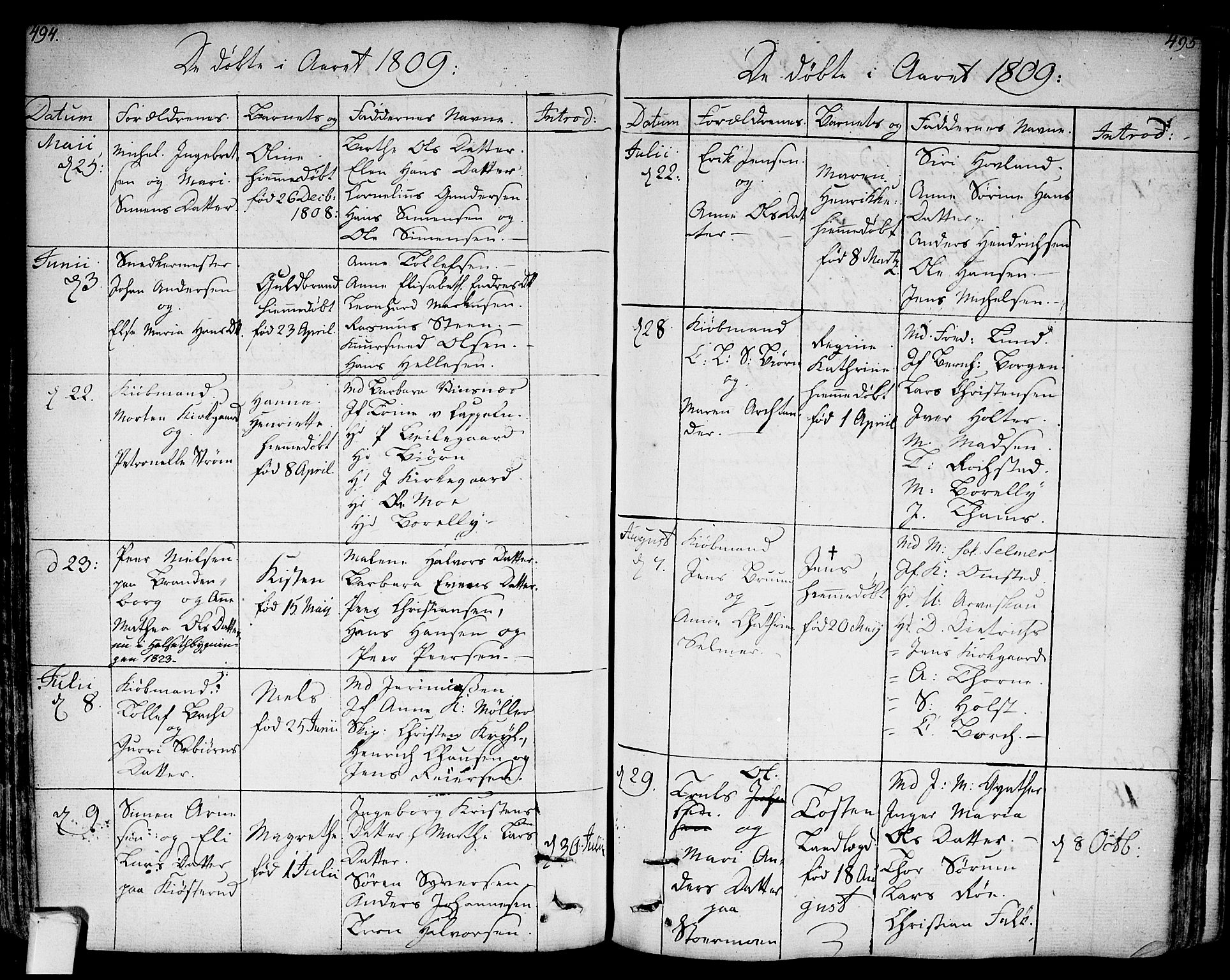 Bragernes kirkebøker, AV/SAKO-A-6/F/Fa/L0006a: Parish register (official) no. I 6, 1782-1814, p. 494-495