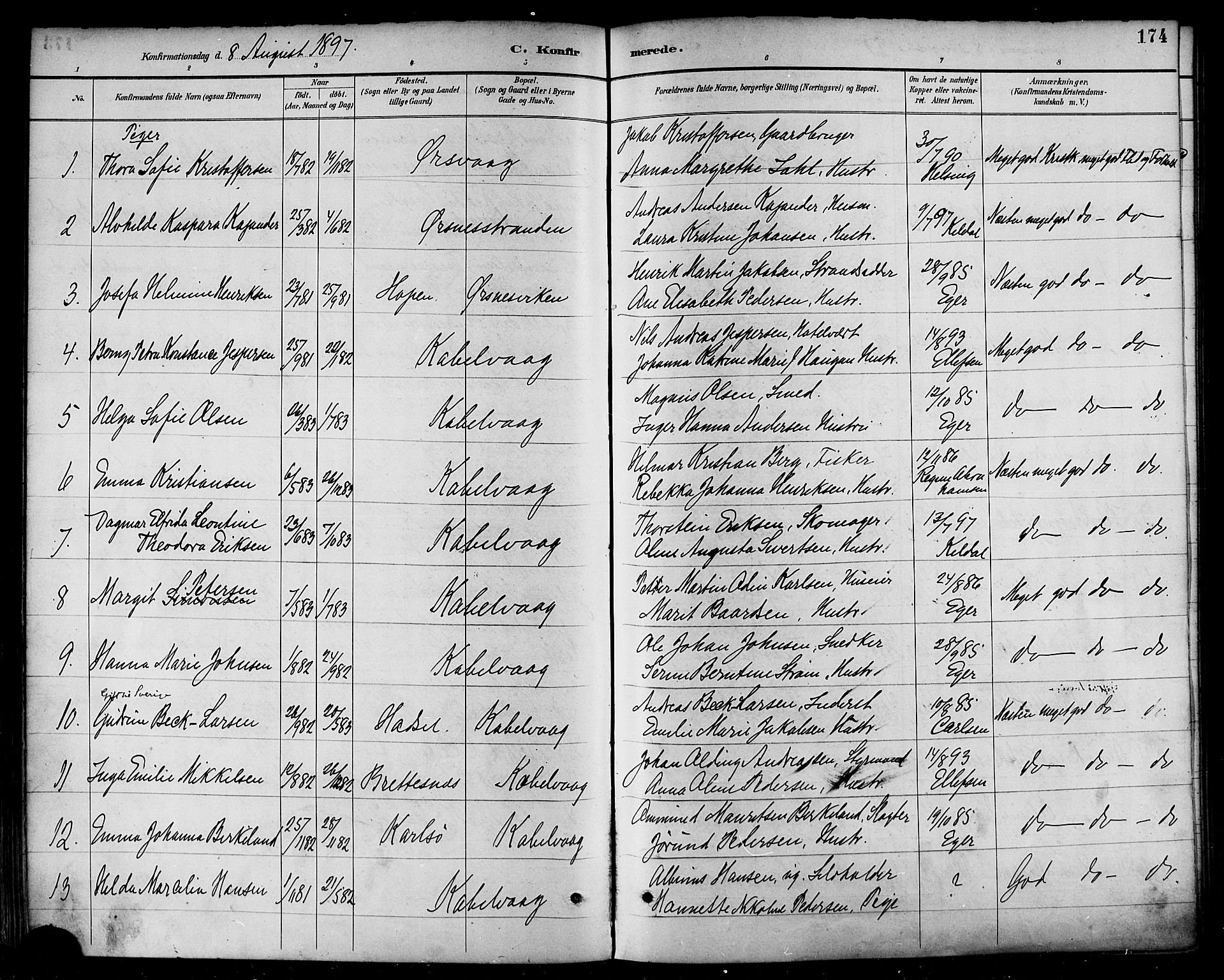 Ministerialprotokoller, klokkerbøker og fødselsregistre - Nordland, SAT/A-1459/874/L1060: Parish register (official) no. 874A04, 1890-1899, p. 174