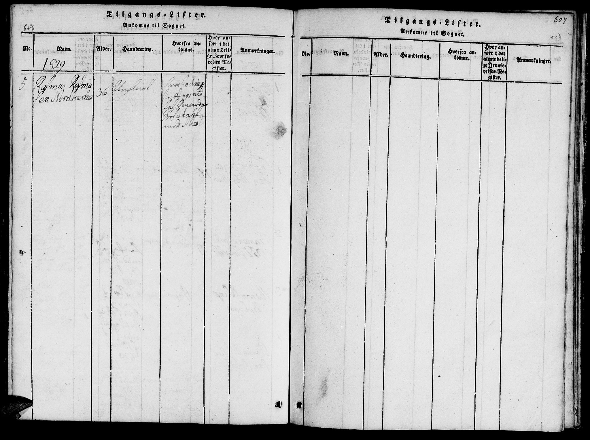 Ministerialprotokoller, klokkerbøker og fødselsregistre - Møre og Romsdal, SAT/A-1454/519/L0260: Parish register (copy) no. 519C01, 1817-1829, p. 606-607